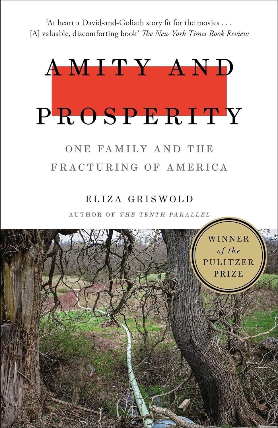 Amity and Prosperity: One Family and the Fracturing of America by Eliza Griswold