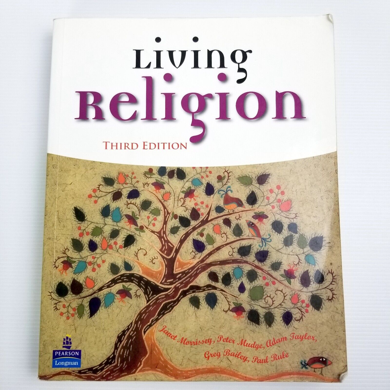 Living Religion by Morrissey (Paperback, 2005) Third Edition 3RD ED Textbook