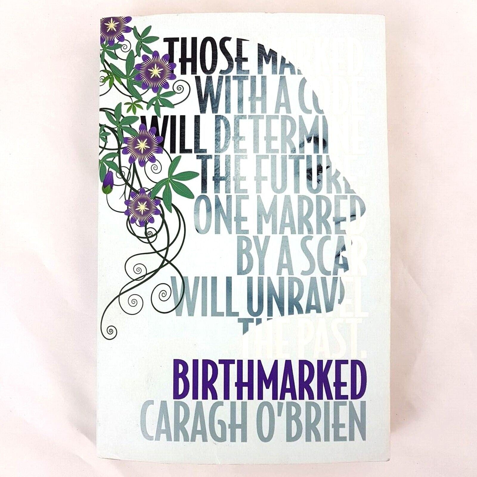Birthmarked by Caragh M. O'Brien (Paperback, 2011) Fiction Drama Adventure Book