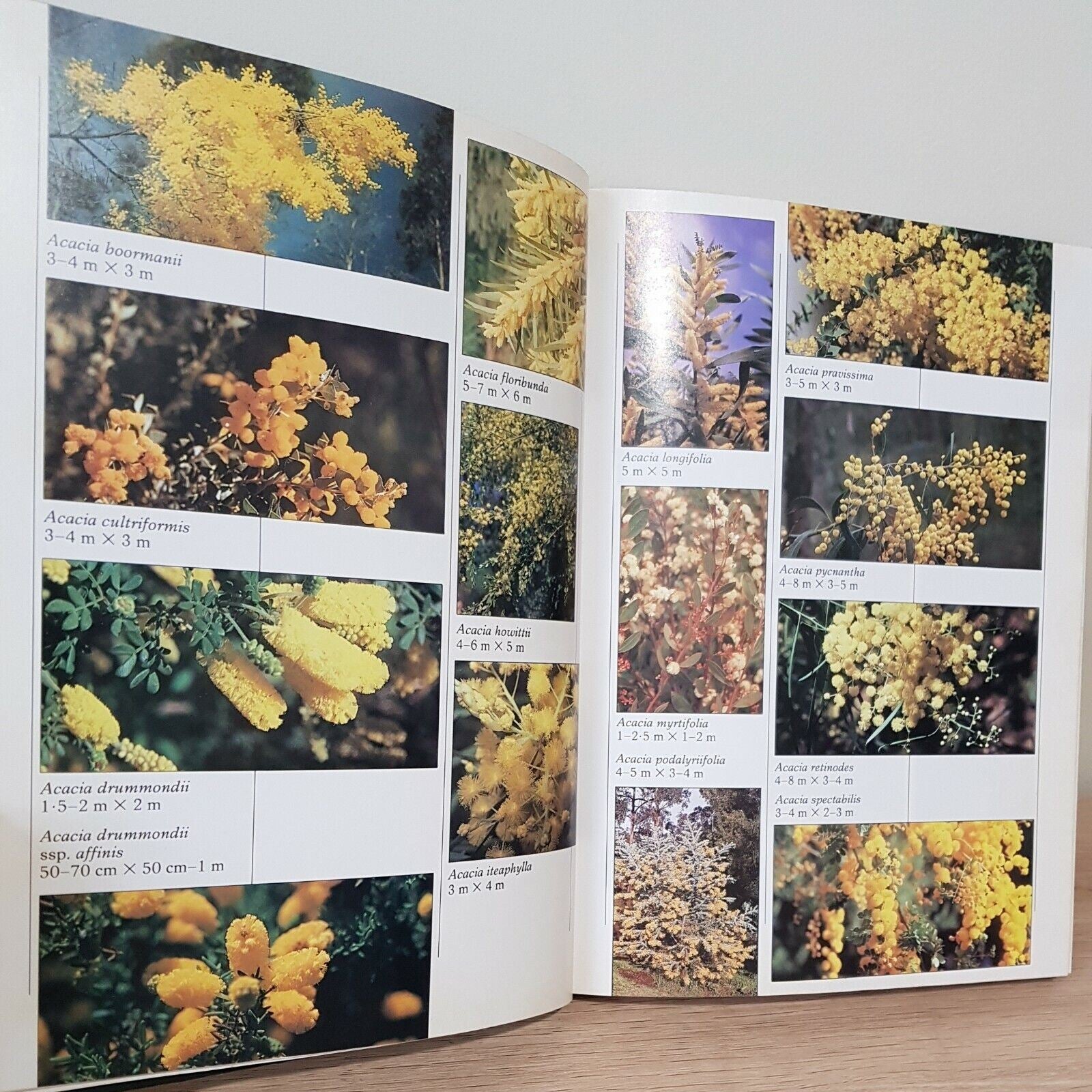 Grow What Basic Book Pictorial Hard Cover Gardening Australian Plant Study Group