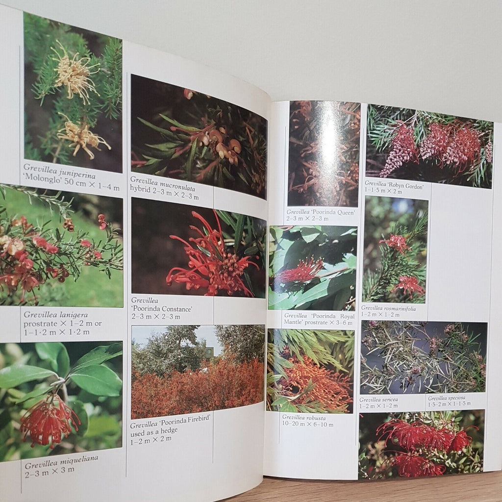 Grow What Basic Book Pictorial Hard Cover Gardening Australian Plant Study Group