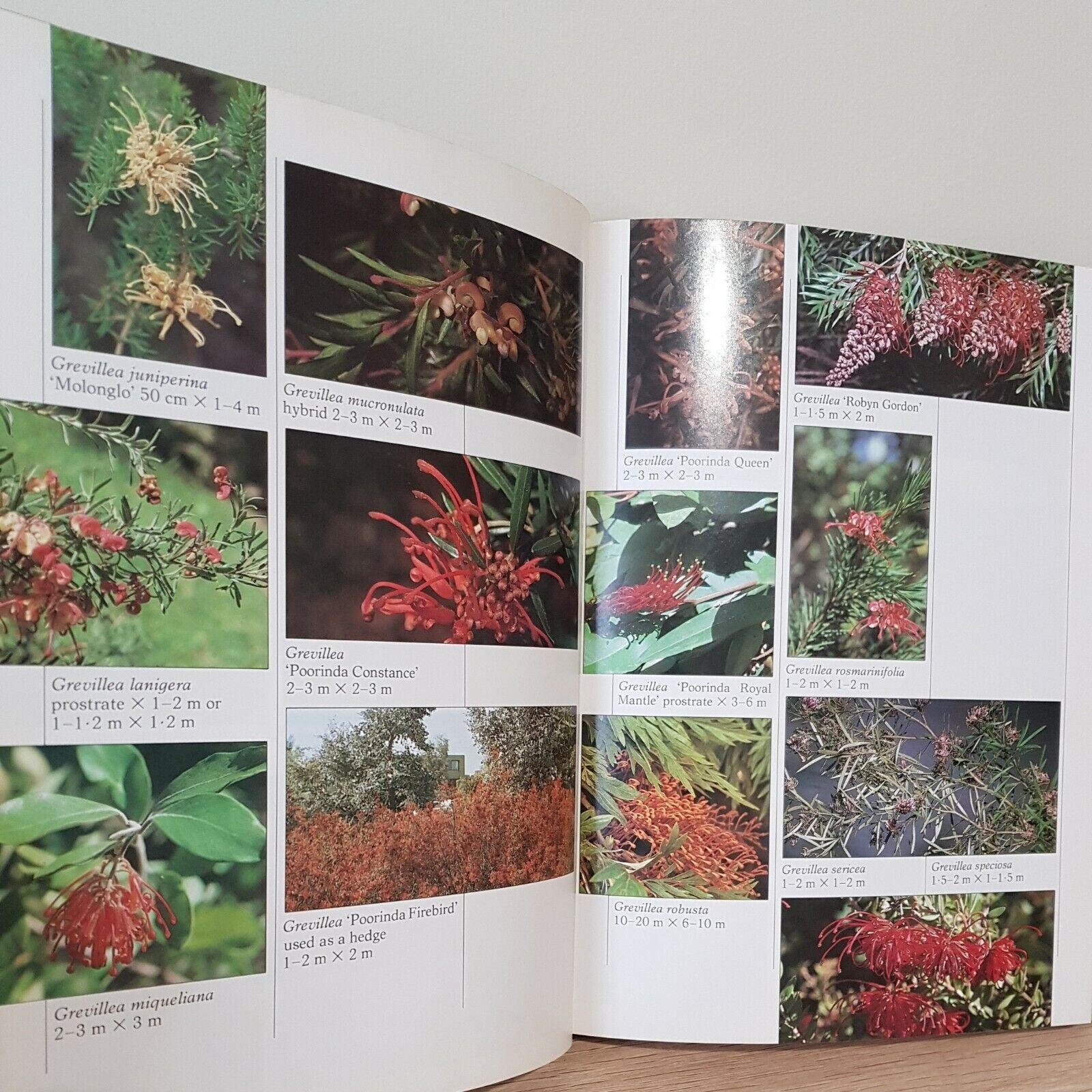 Grow What Basic Book Pictorial Hard Cover Gardening Australian Plant Study Group
