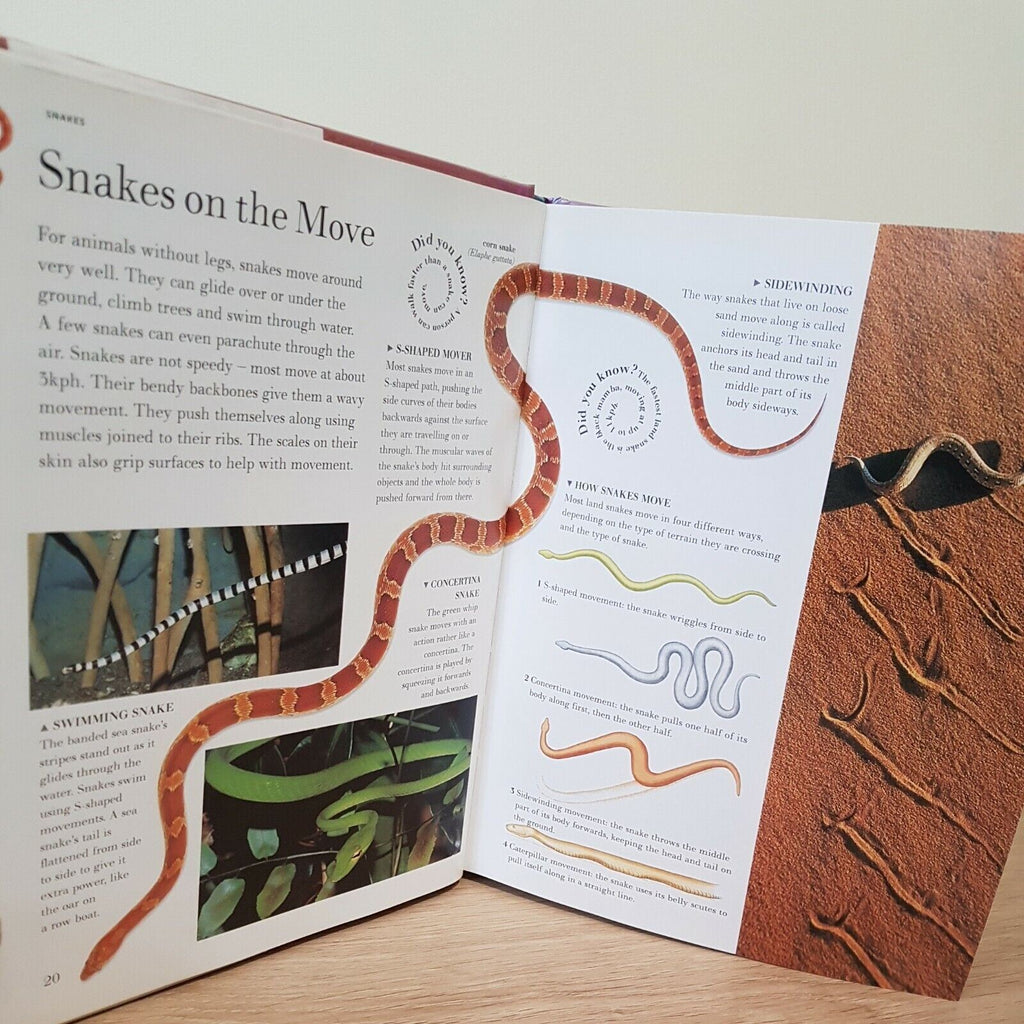 Nature's Predators (The Illustrated Wildlife Encyclopaedia) Hardcover Book