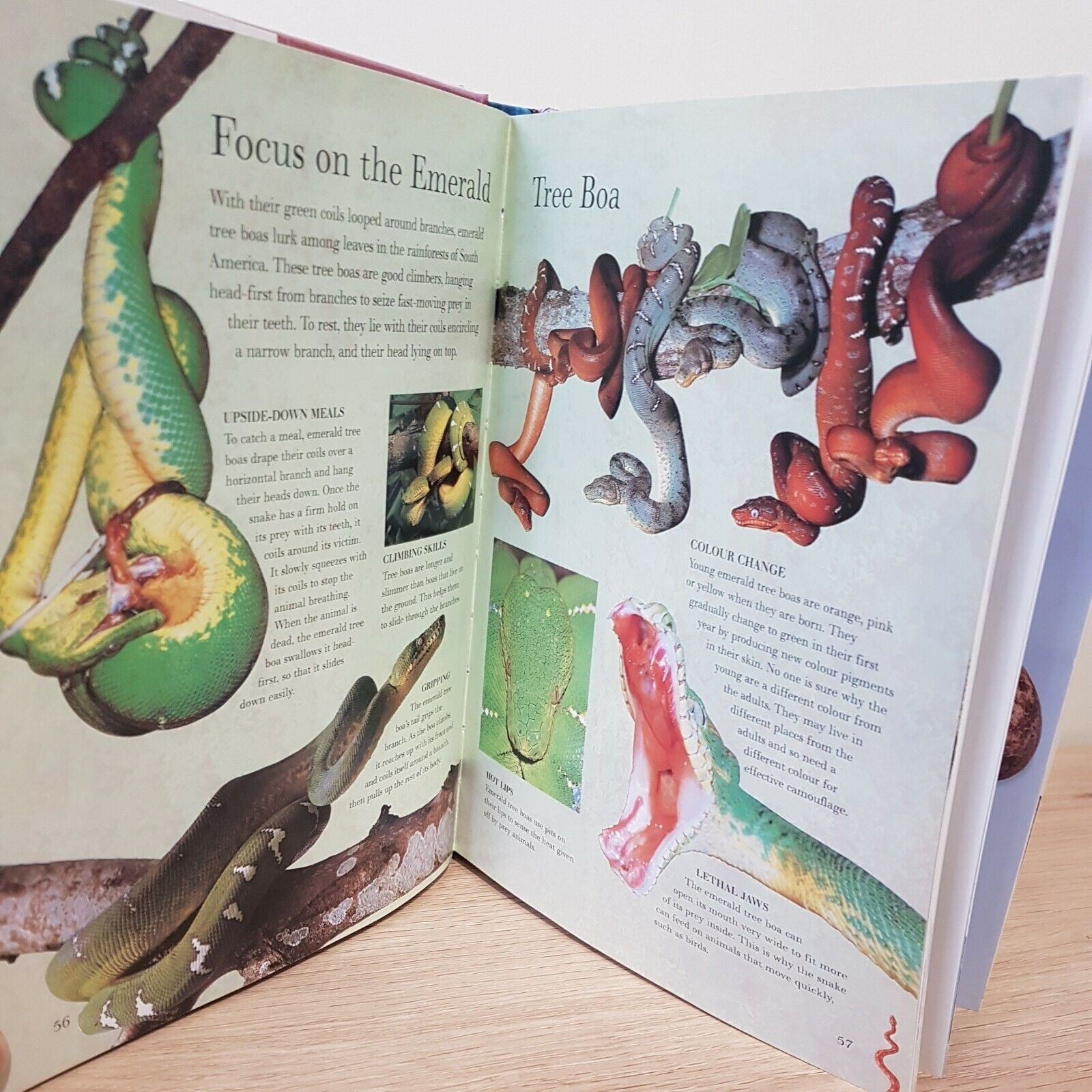 Nature's Predators (The Illustrated Wildlife Encyclopaedia) Hardcover Book