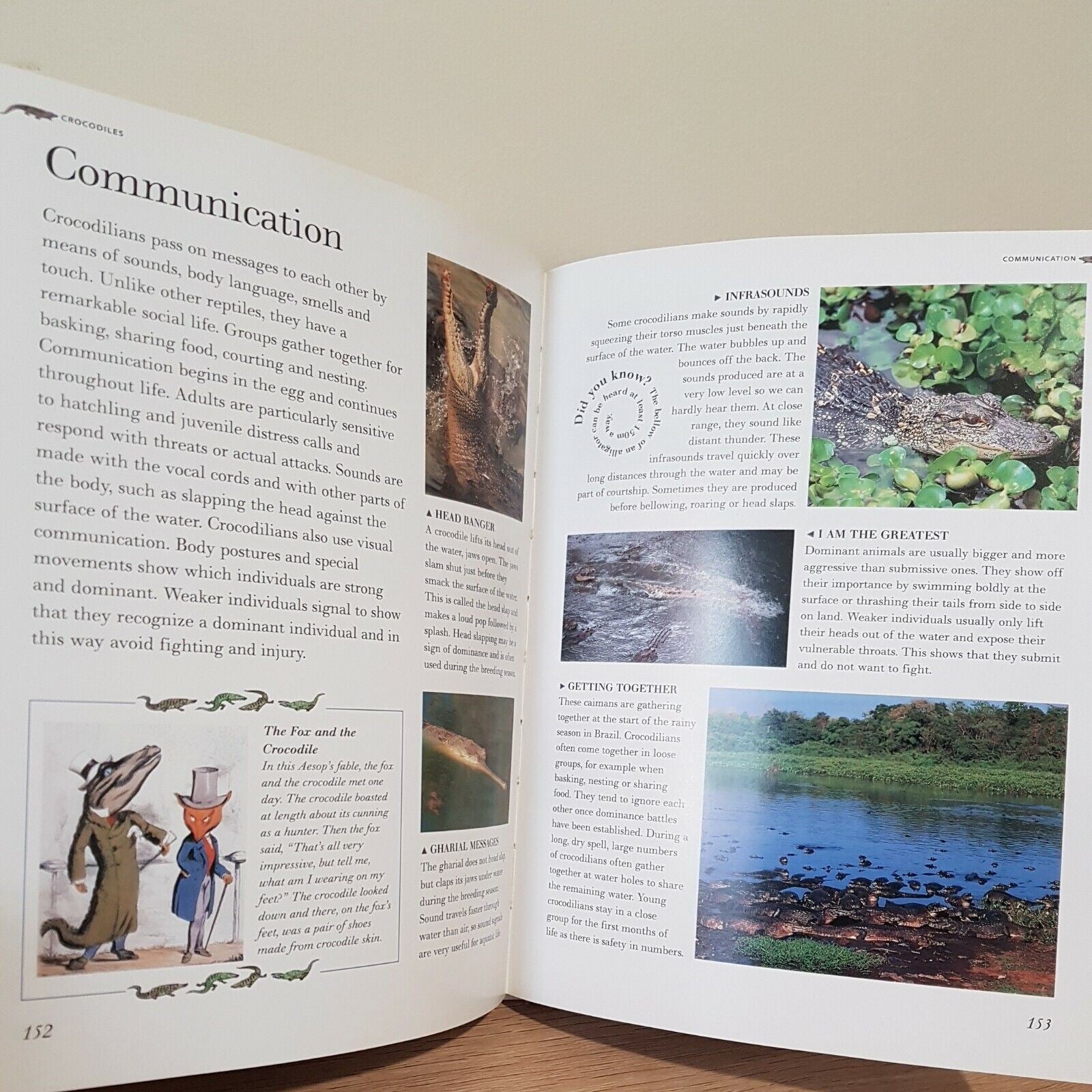 Nature's Predators (The Illustrated Wildlife Encyclopaedia) Hardcover Book