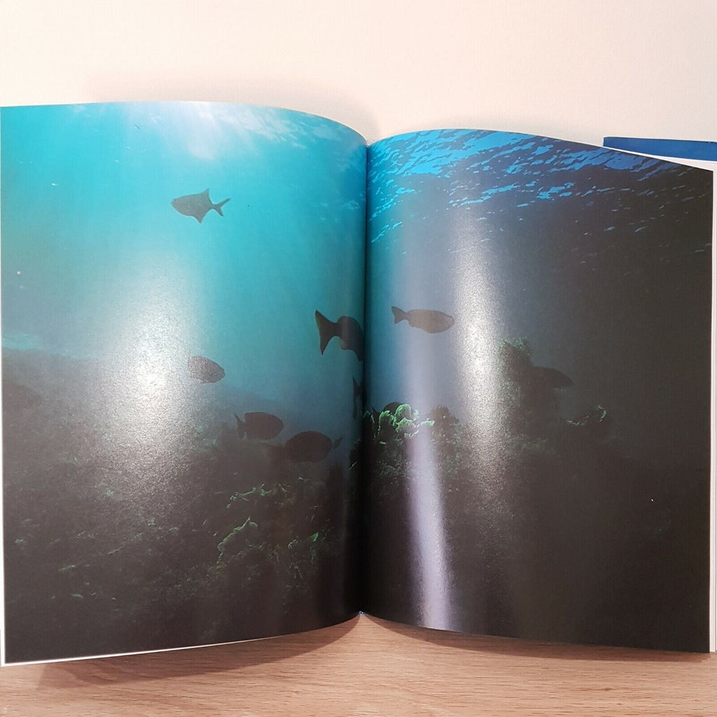Australia's Underwater Wilderness by Hughes Roland - Book - Hard Cover