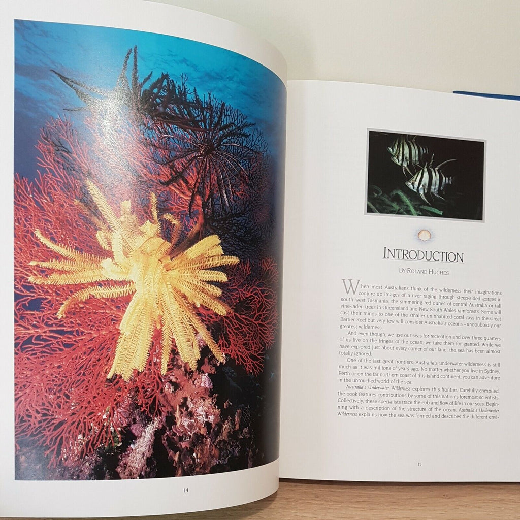 Australia's Underwater Wilderness by Hughes Roland - Book - Hard Cover