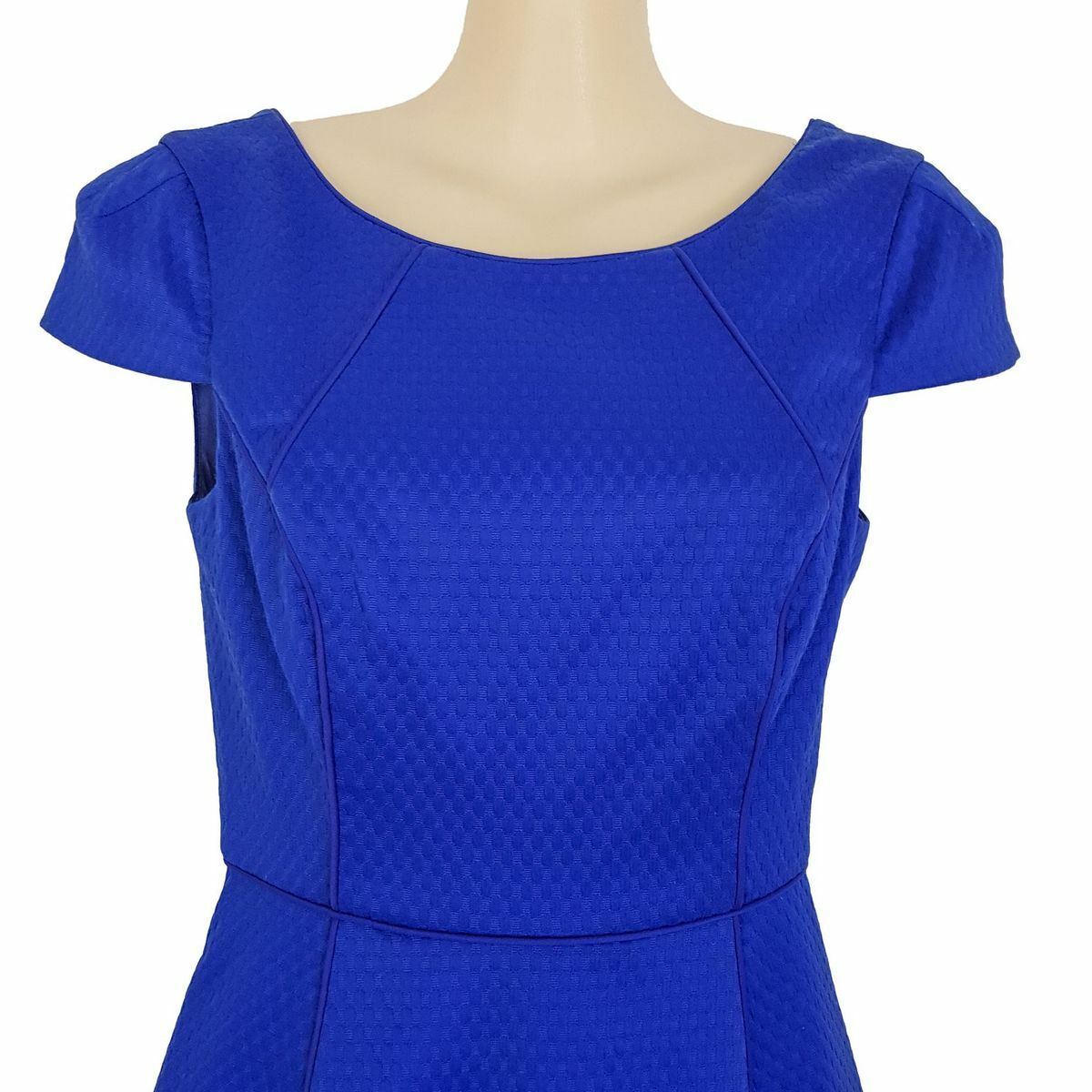 FOREVER NEW Tia Short Sleeve Textured Palace Blue Party Work Dress A-Line NWT