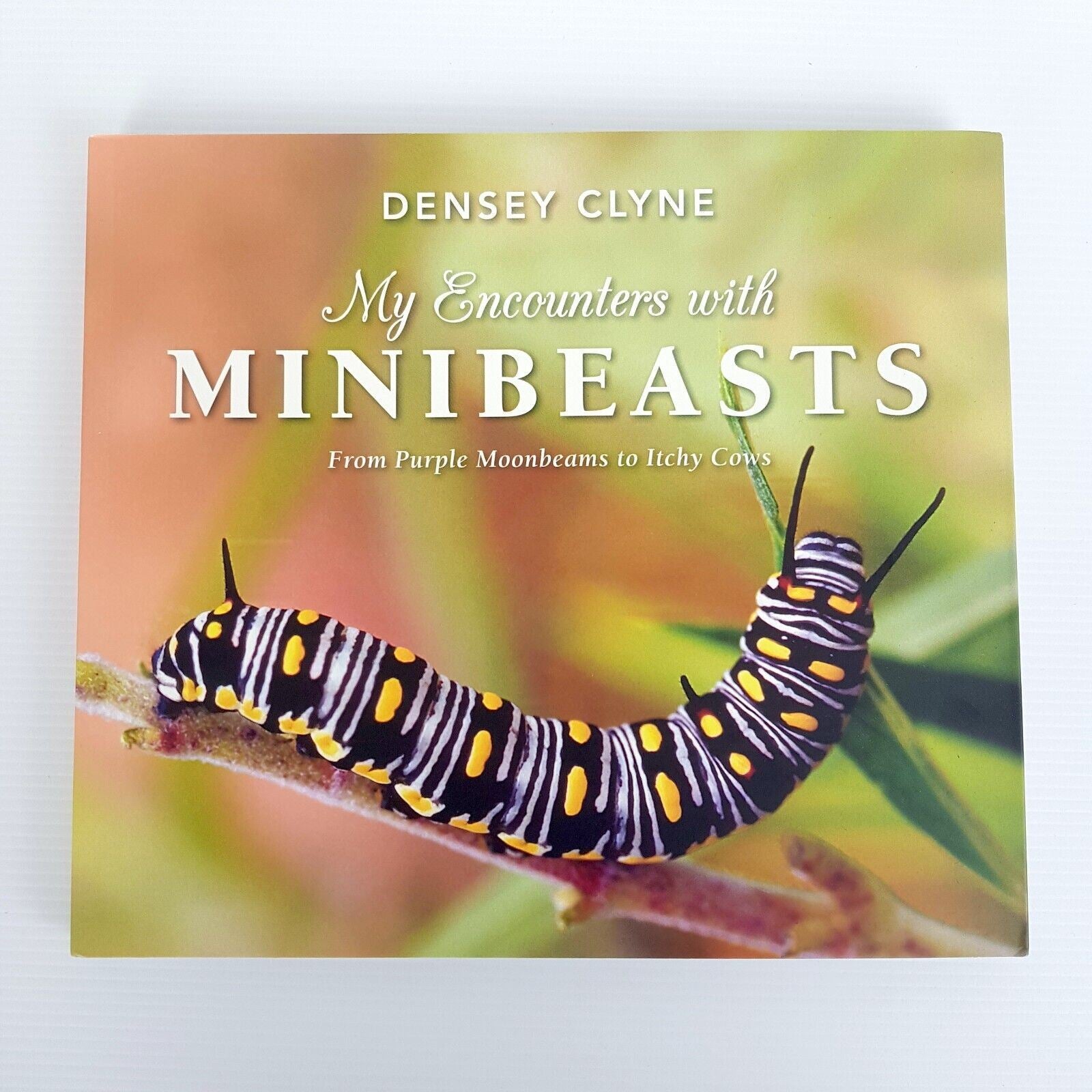 My Encounters with Minibeasts: From Purple Moonbeams to Itchy Cows Densey Clyne