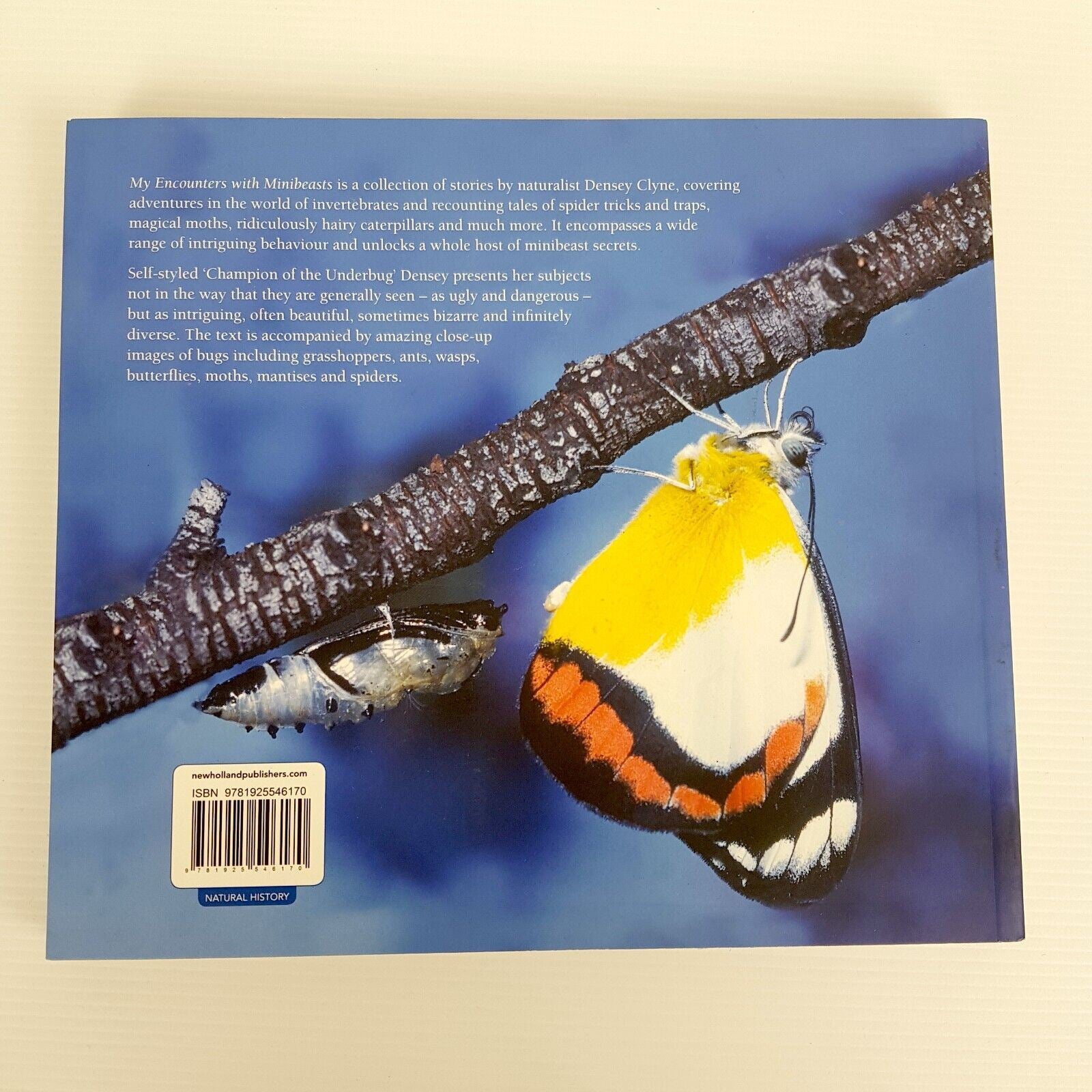 My Encounters with Minibeasts: From Purple Moonbeams to Itchy Cows Densey Clyne