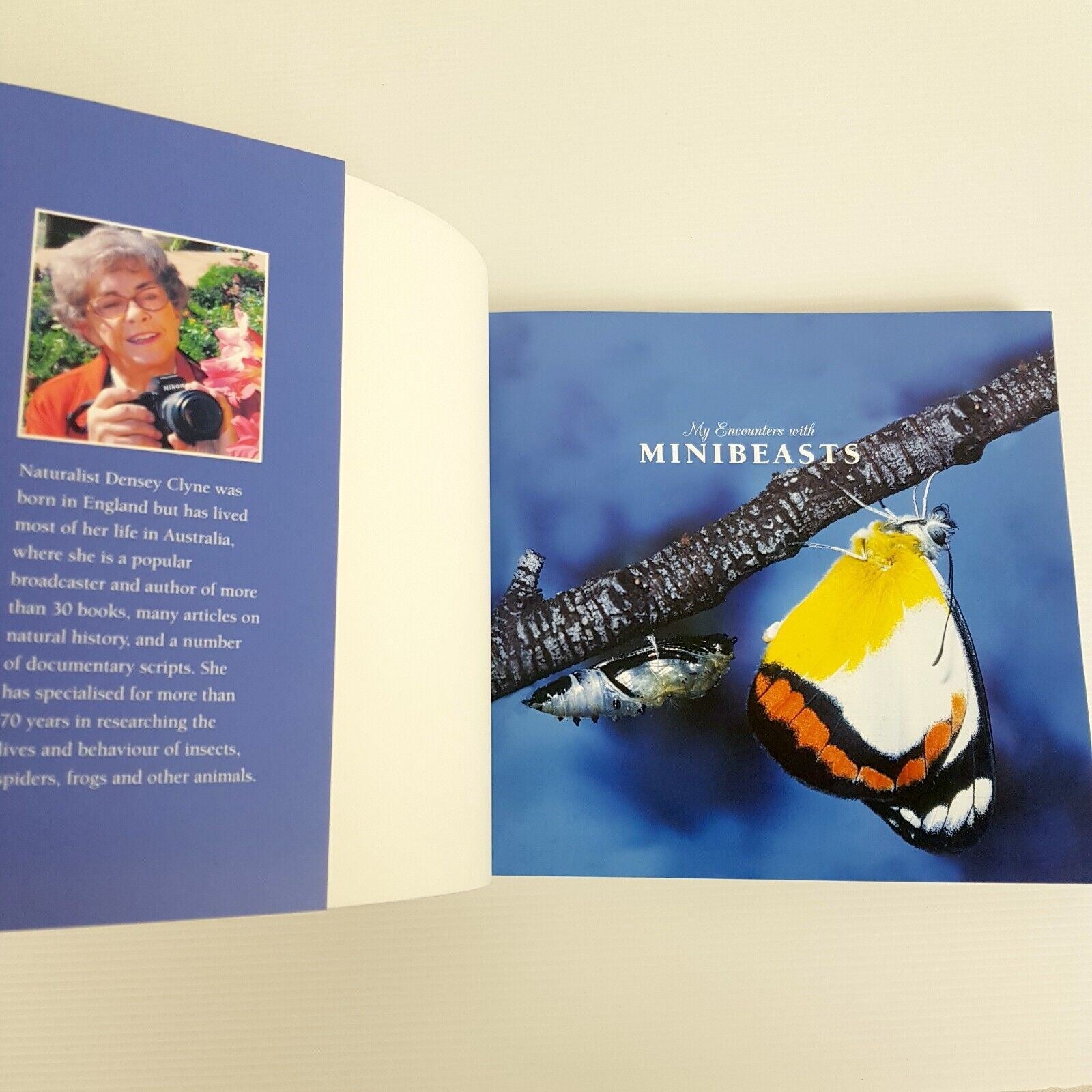 My Encounters with Minibeasts: From Purple Moonbeams to Itchy Cows Densey Clyne