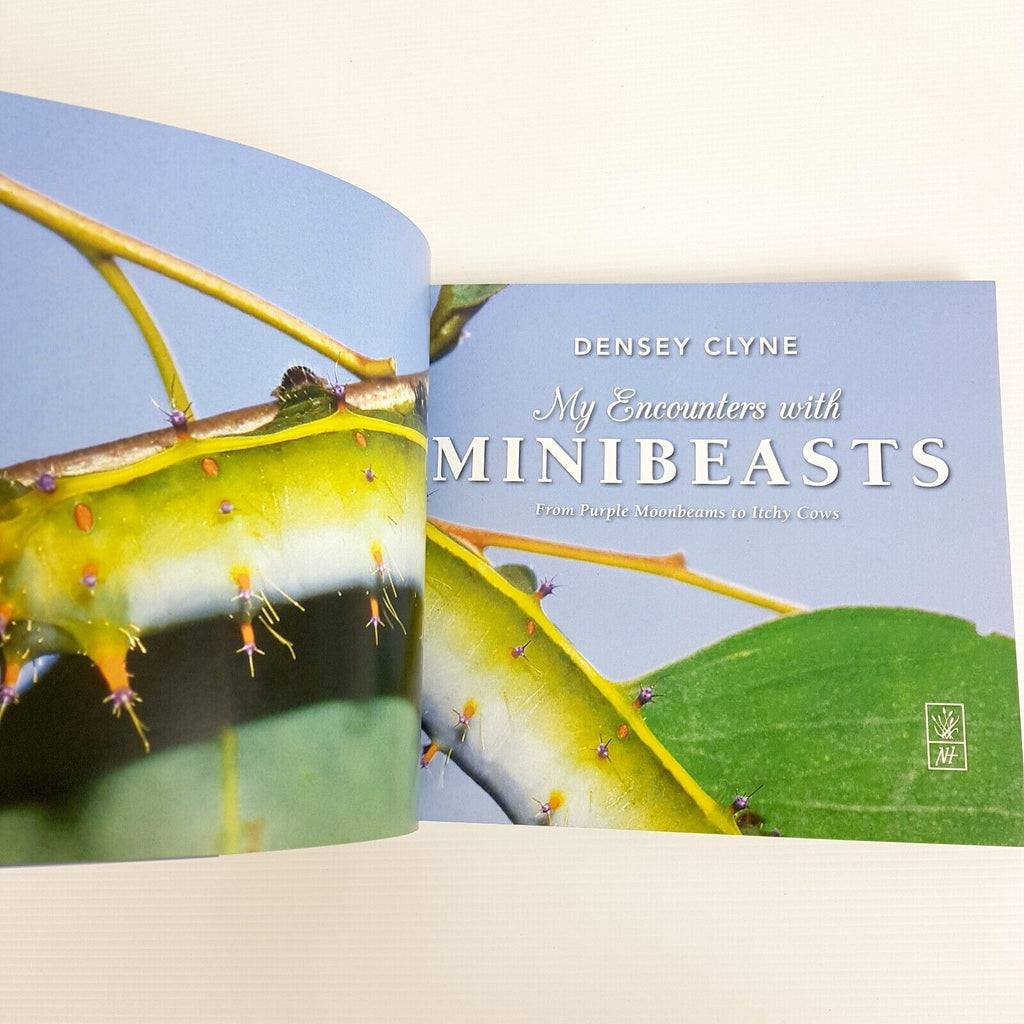 My Encounters with Minibeasts: From Purple Moonbeams to Itchy Cows Densey Clyne