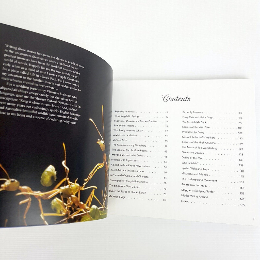 My Encounters with Minibeasts: From Purple Moonbeams to Itchy Cows Densey Clyne