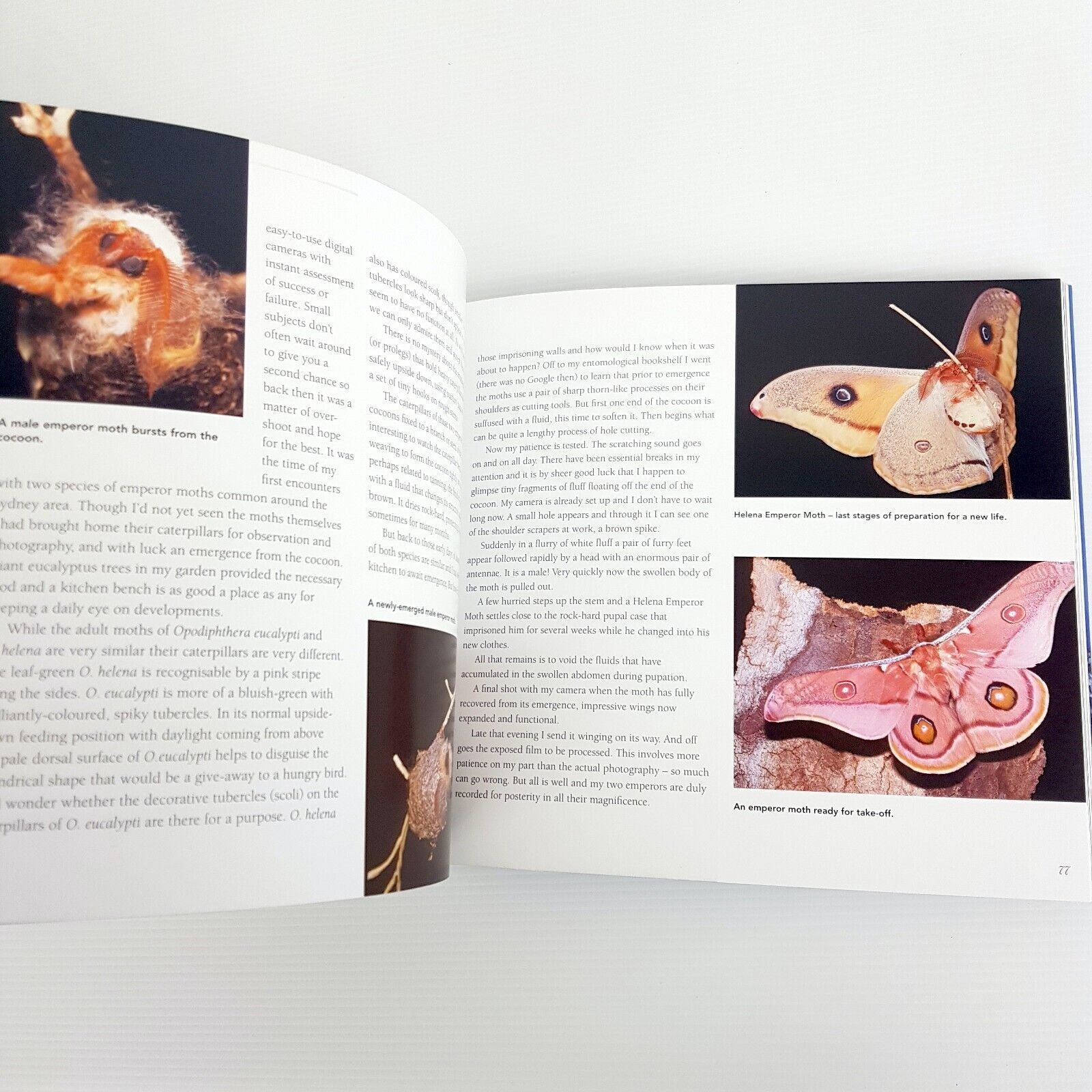 My Encounters with Minibeasts: From Purple Moonbeams to Itchy Cows Densey Clyne