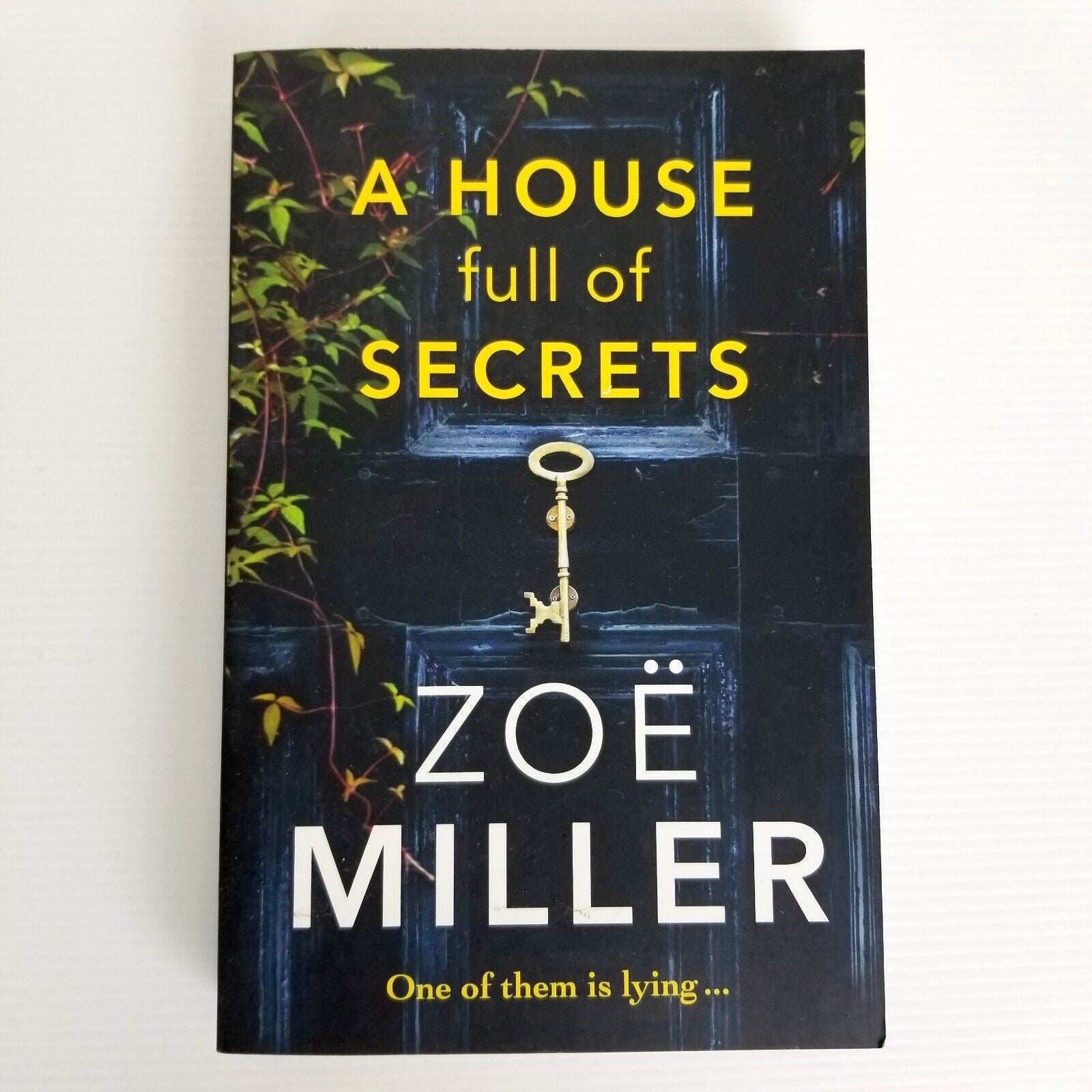 A House Full of Secrets: All she sees is the perfect man, but what is he hiding?
