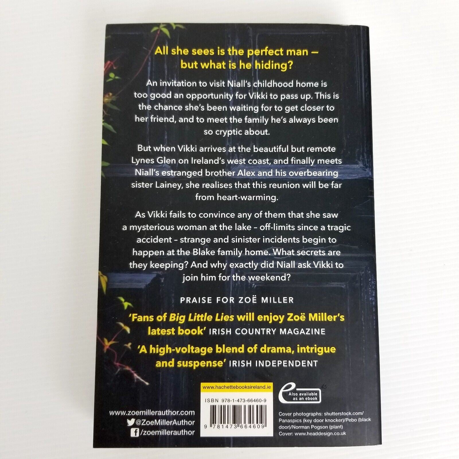 A House Full of Secrets: All she sees is the perfect man, but what is he hiding?