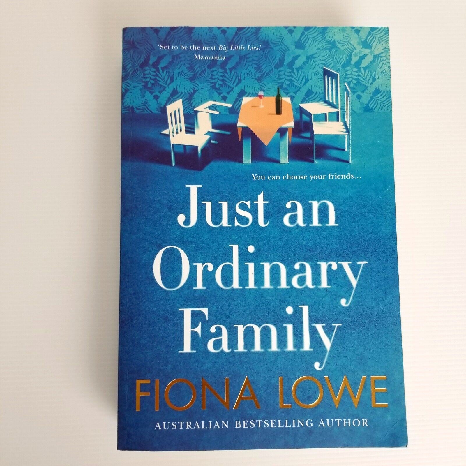 Just An Ordinary Family by Fiona Lowe Book Paperback Australian Bestseller New