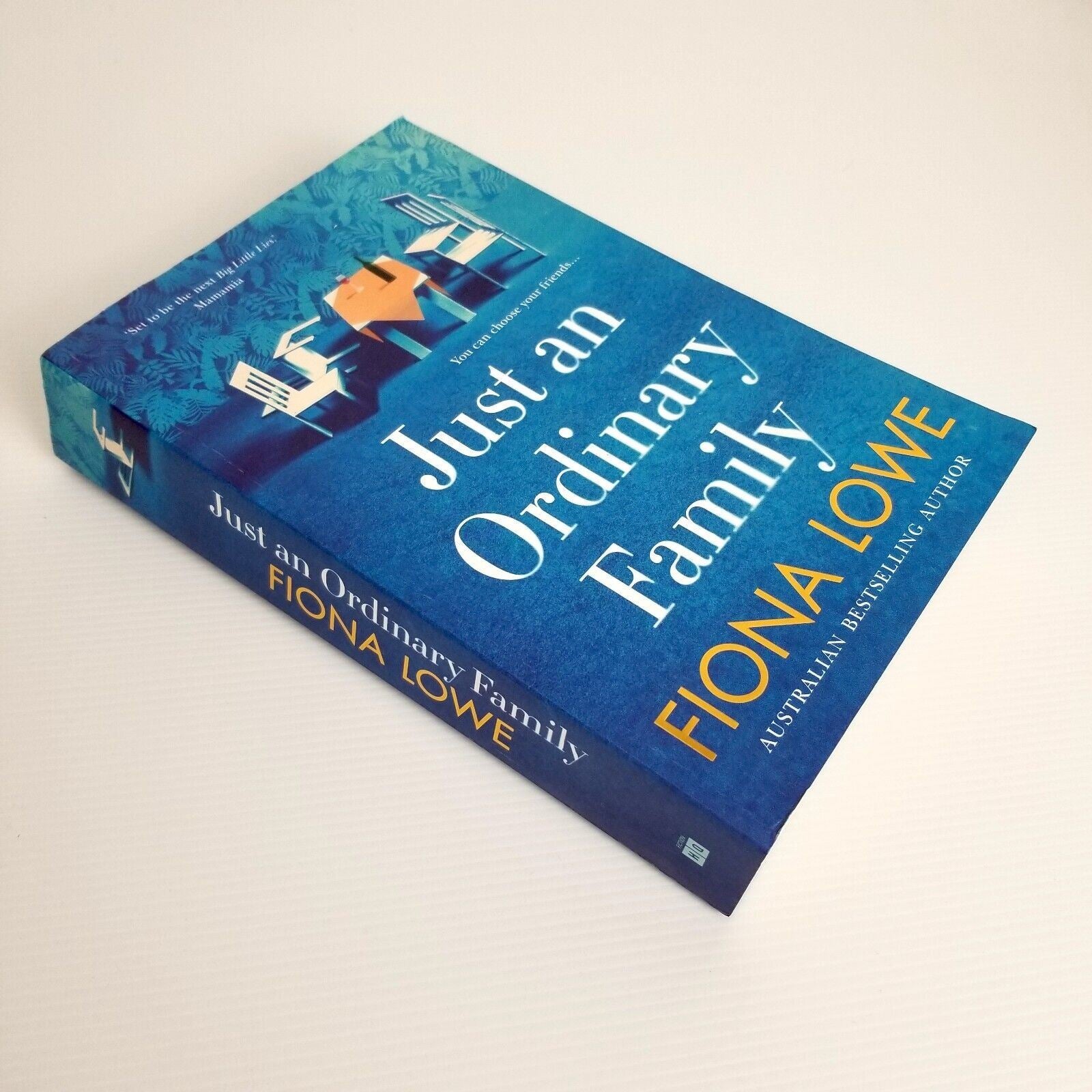 Just An Ordinary Family by Fiona Lowe Book Paperback Australian Bestseller New