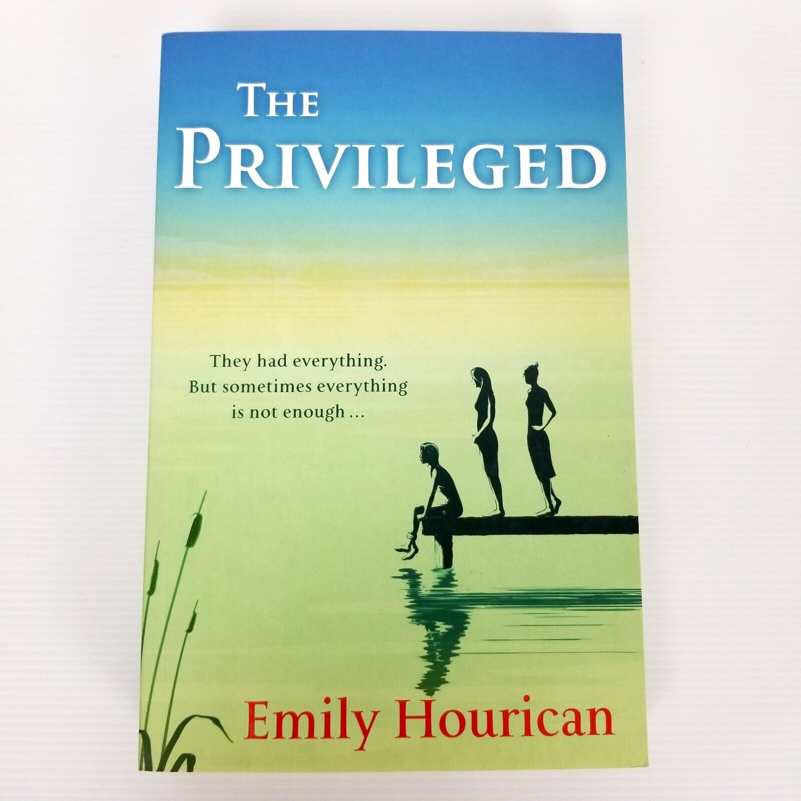 The Privileged by Emily Hourican (Paperback, 2016) Fiction Novel Book