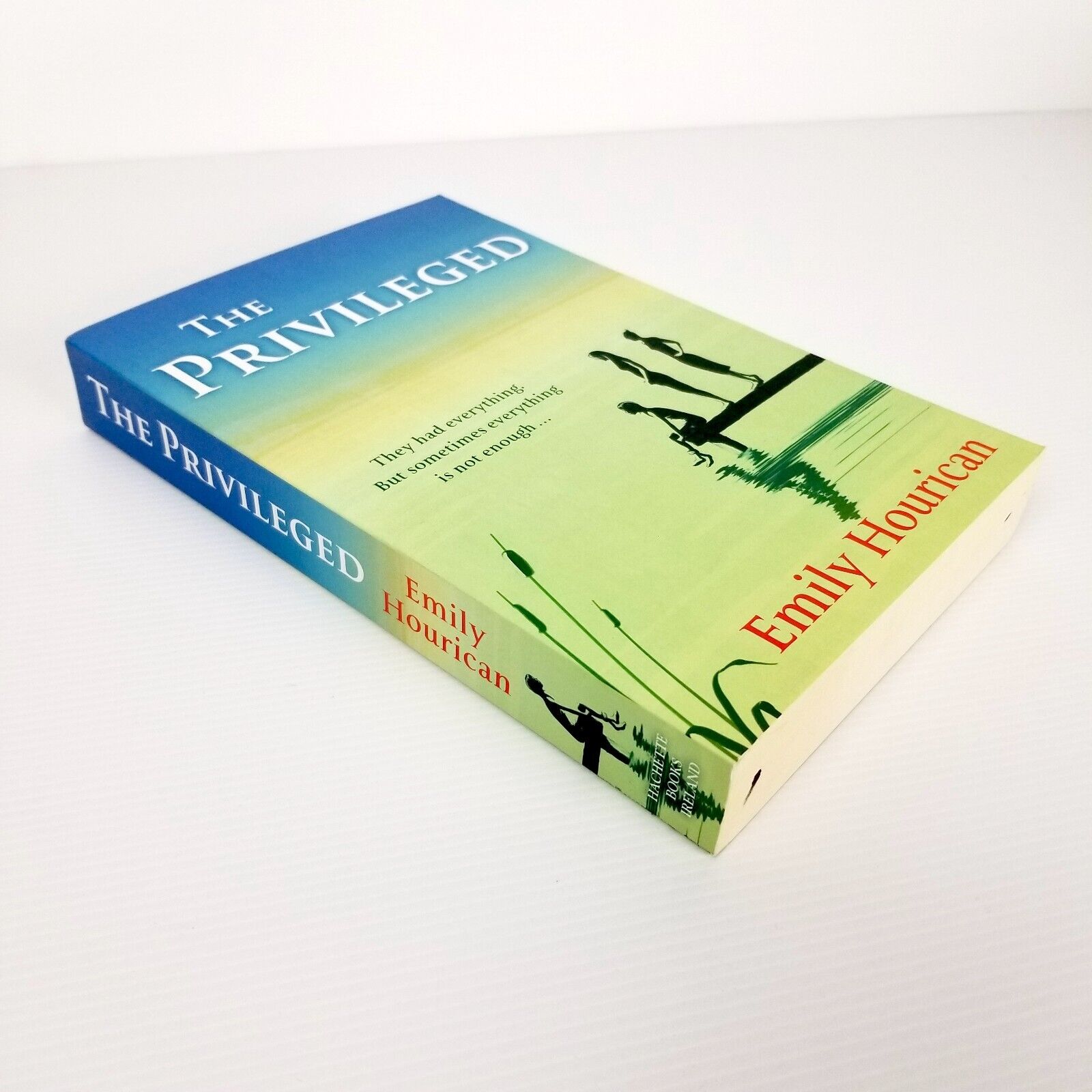 The Privileged by Emily Hourican (Paperback, 2016) Fiction Novel Book