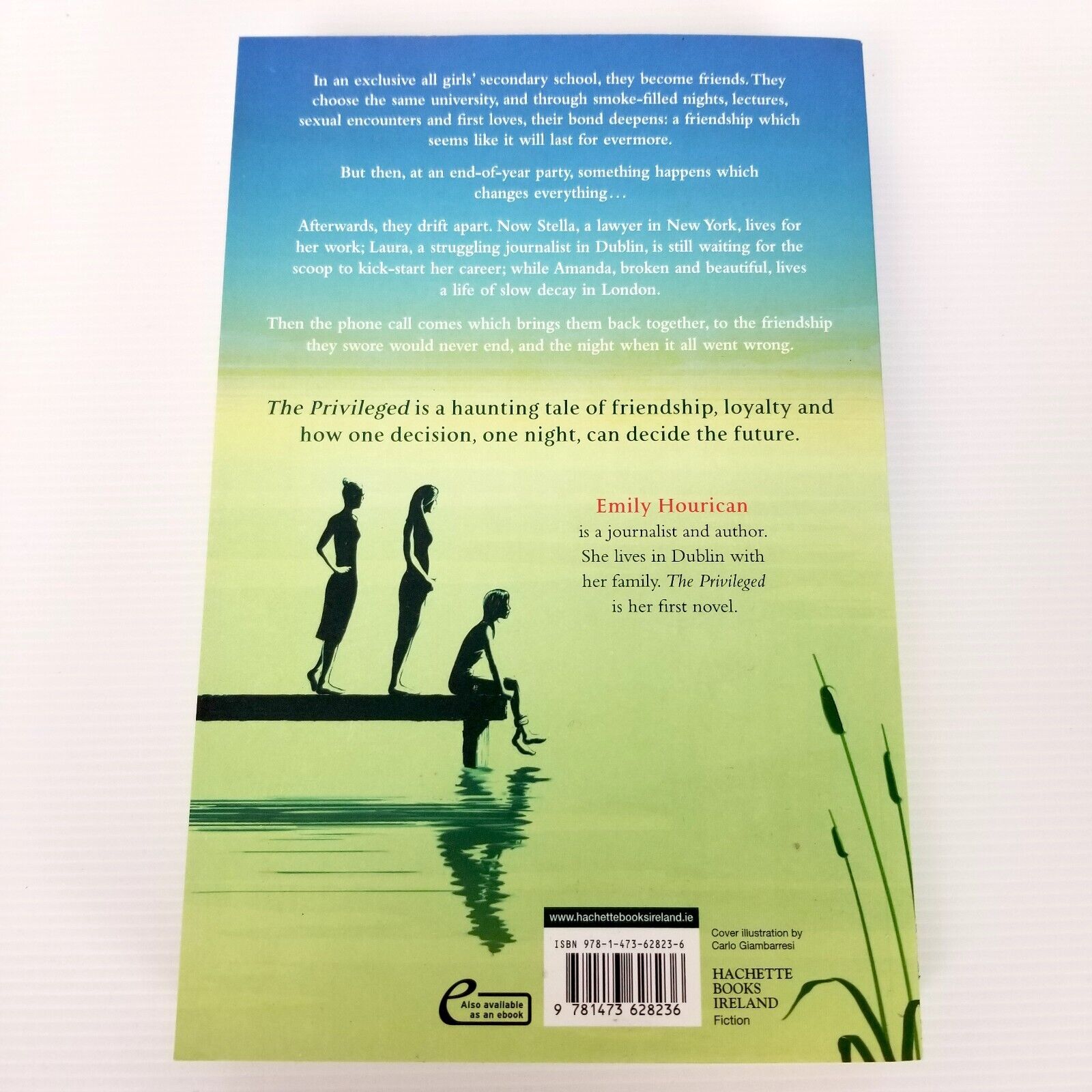 The Privileged by Emily Hourican (Paperback, 2016) Fiction Novel Book