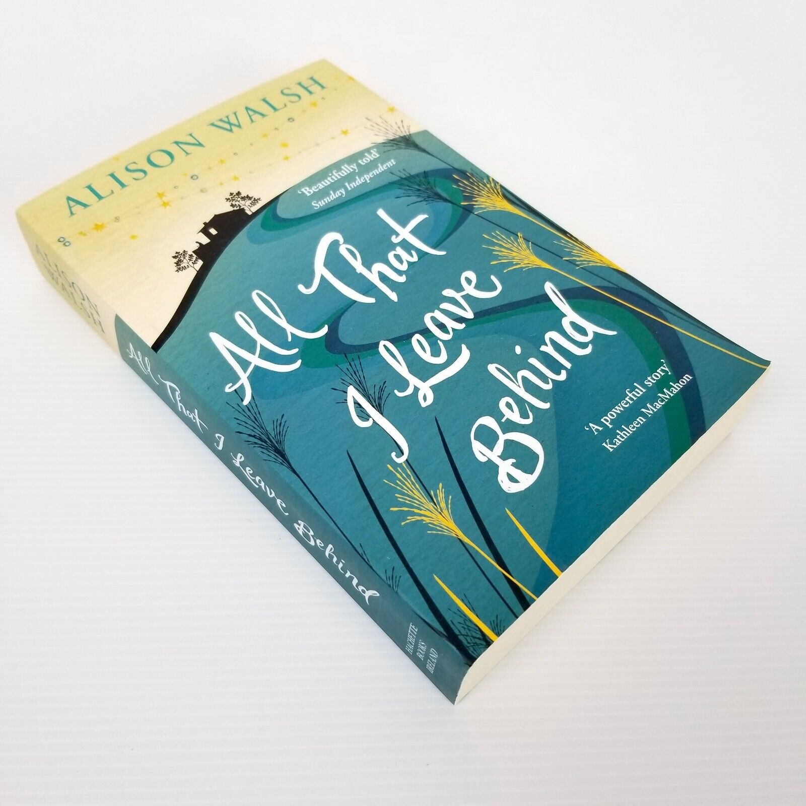 All That I Leave Behind by Alison Walsh Paperback 2016 Novel Fiction Book