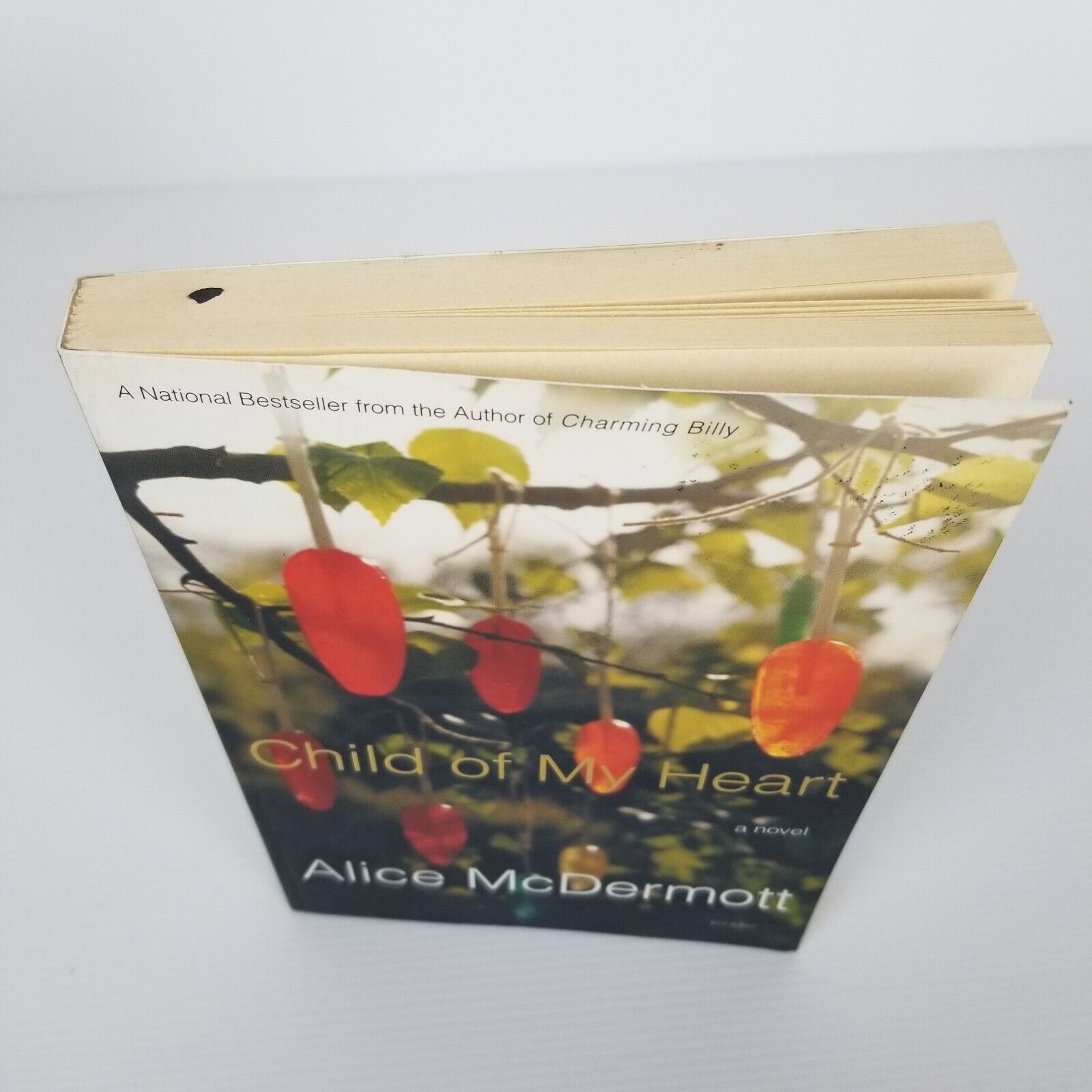 CHILD OF MY HEART - Alice McDermott (Paperback, 2003) Novel Fiction Book