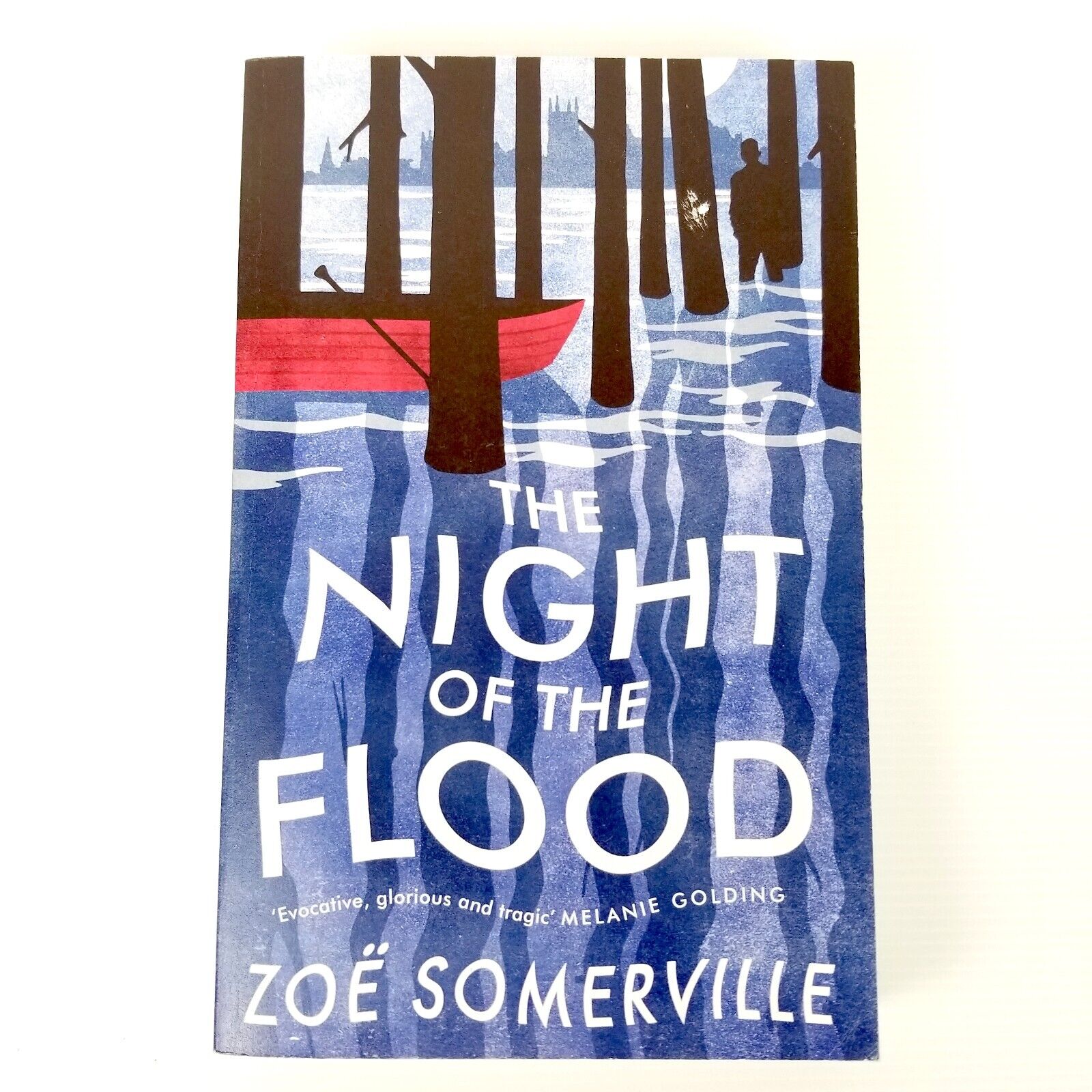 The Night of the Flood by Zoe Somerville (Paperback, 2020) Fiction Love Mystery