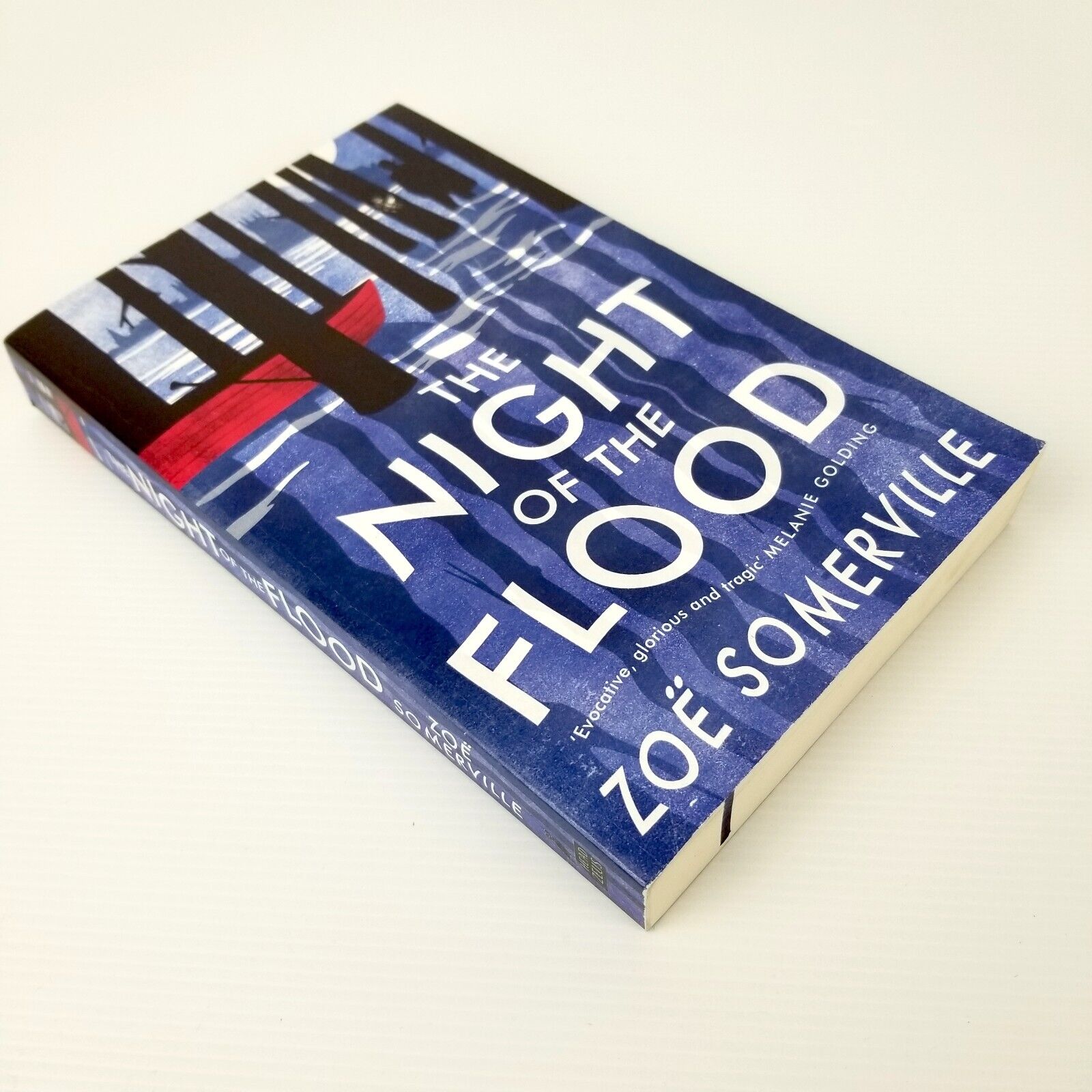 The Night of the Flood by Zoe Somerville (Paperback, 2020) Fiction Love Mystery