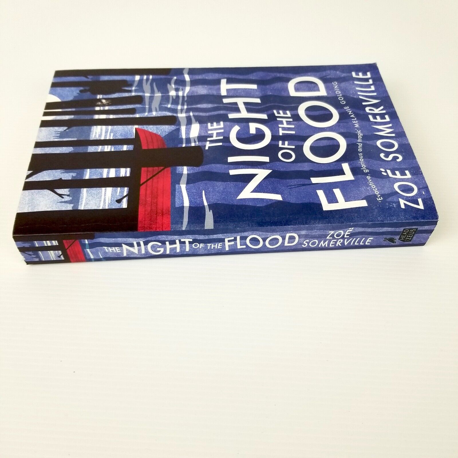 The Night of the Flood by Zoe Somerville (Paperback, 2020) Fiction Love Mystery