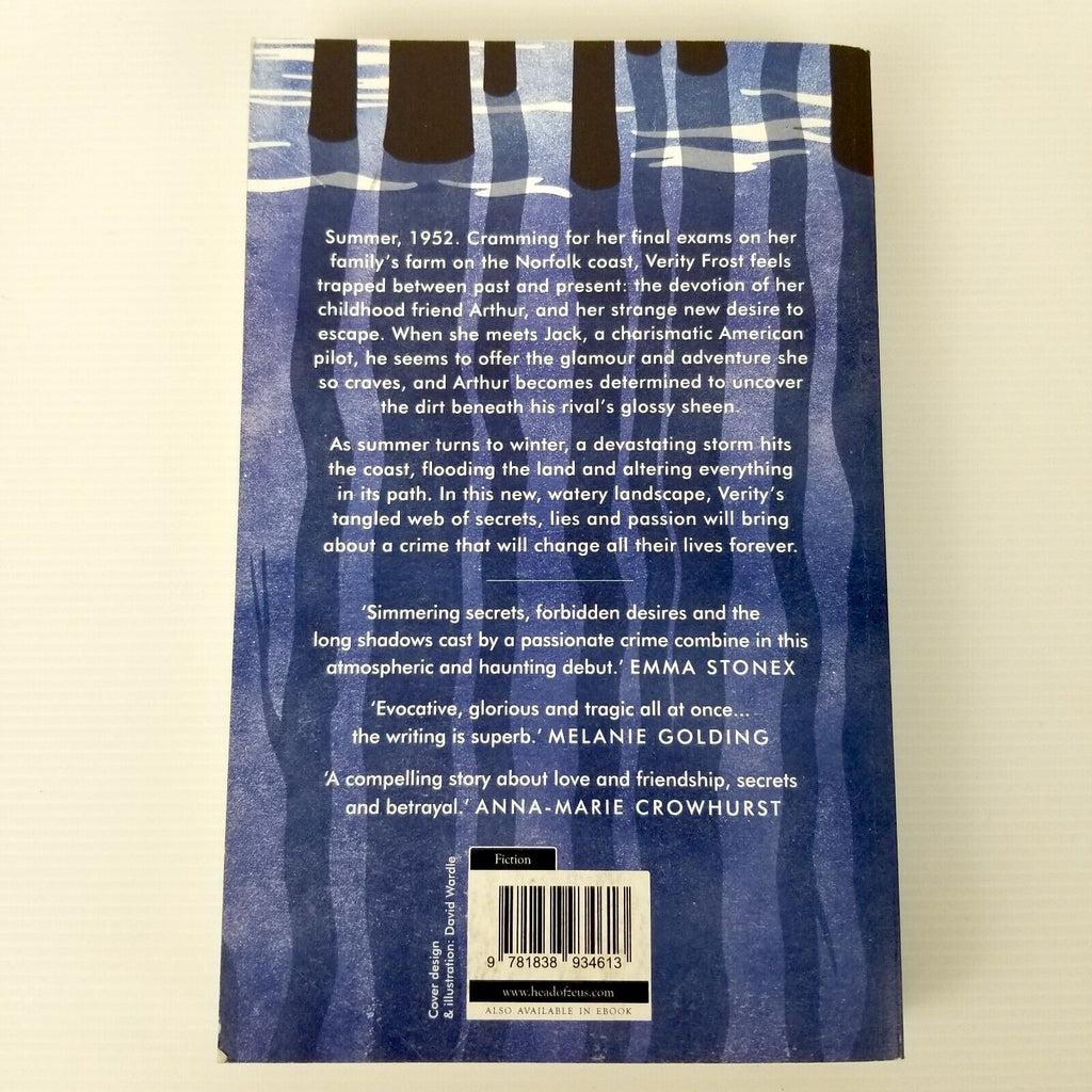 The Night of the Flood by Zoe Somerville (Paperback, 2020) Fiction Love Mystery