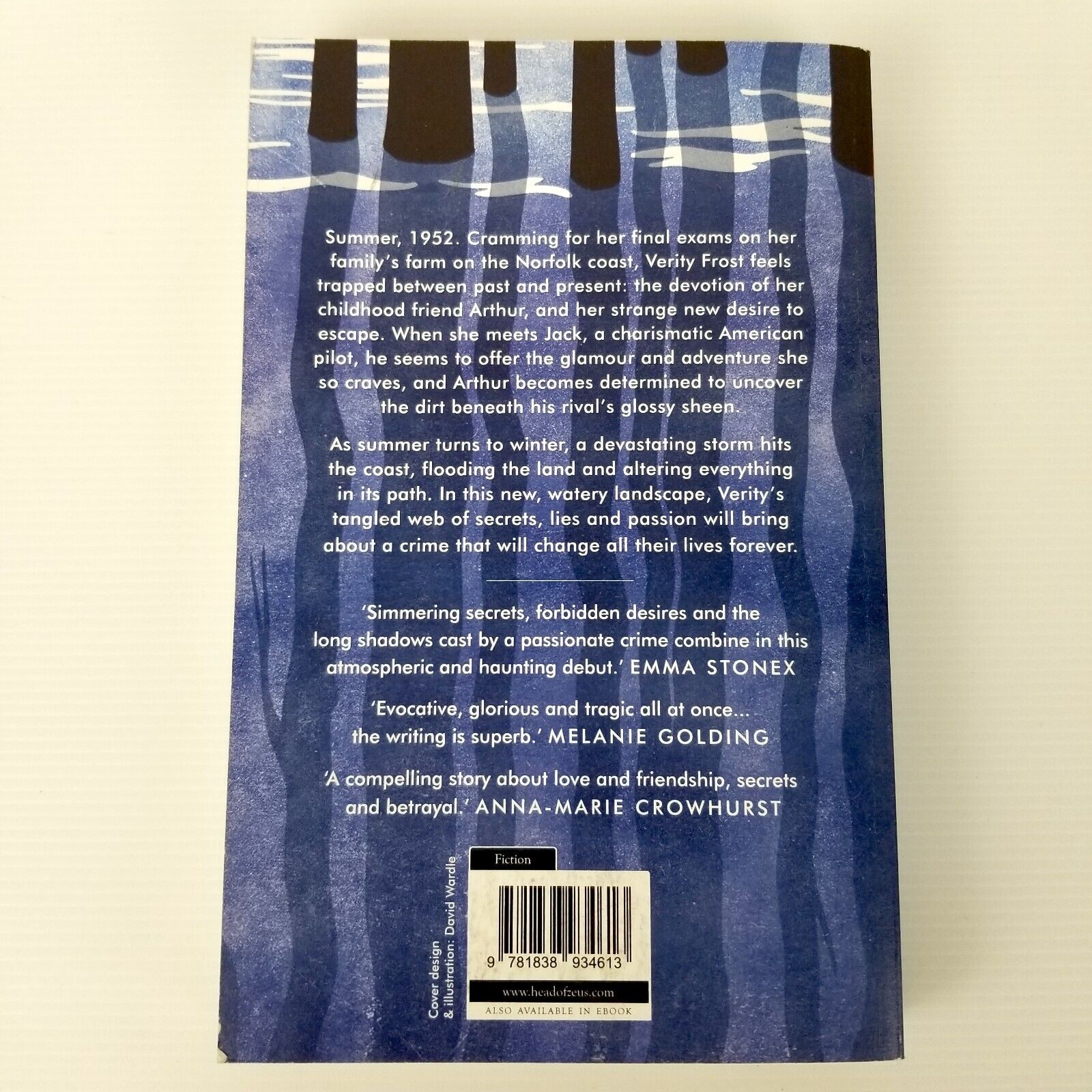 The Night of the Flood by Zoe Somerville (Paperback, 2020) Fiction Love Mystery