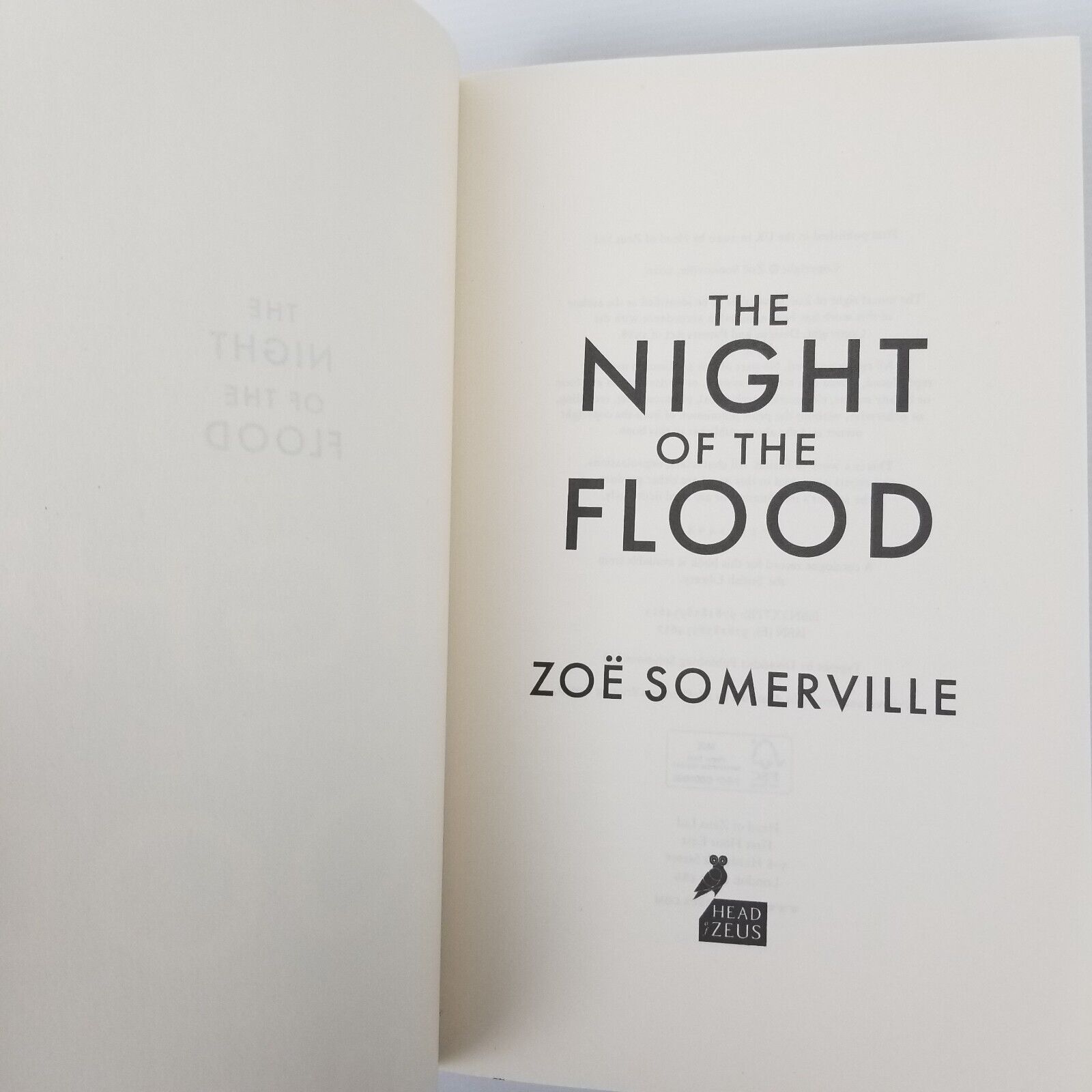 The Night of the Flood by Zoe Somerville (Paperback, 2020) Fiction Love Mystery