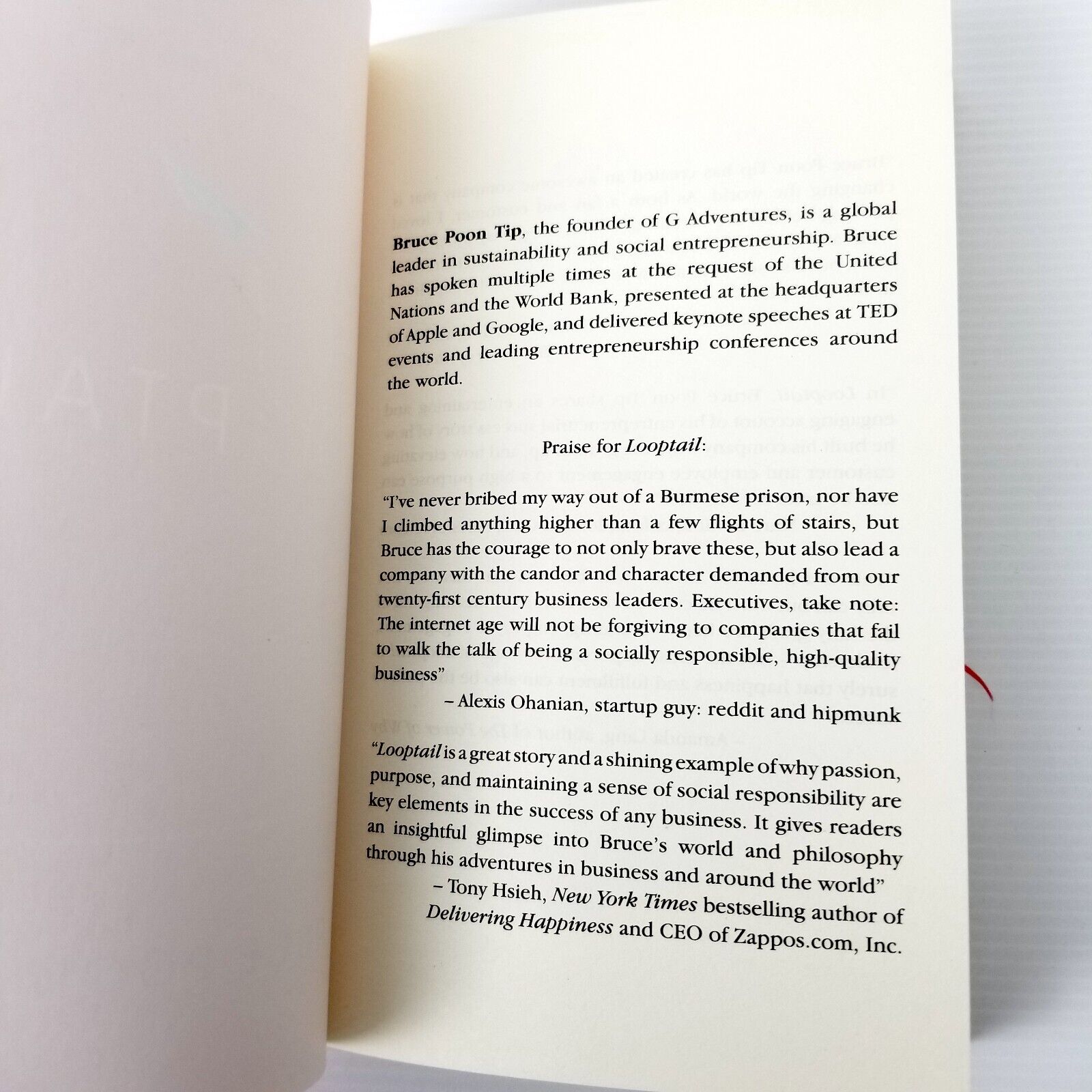 Looptail: How One Company Changed the World by Reinventing Business Bruce P. Tip