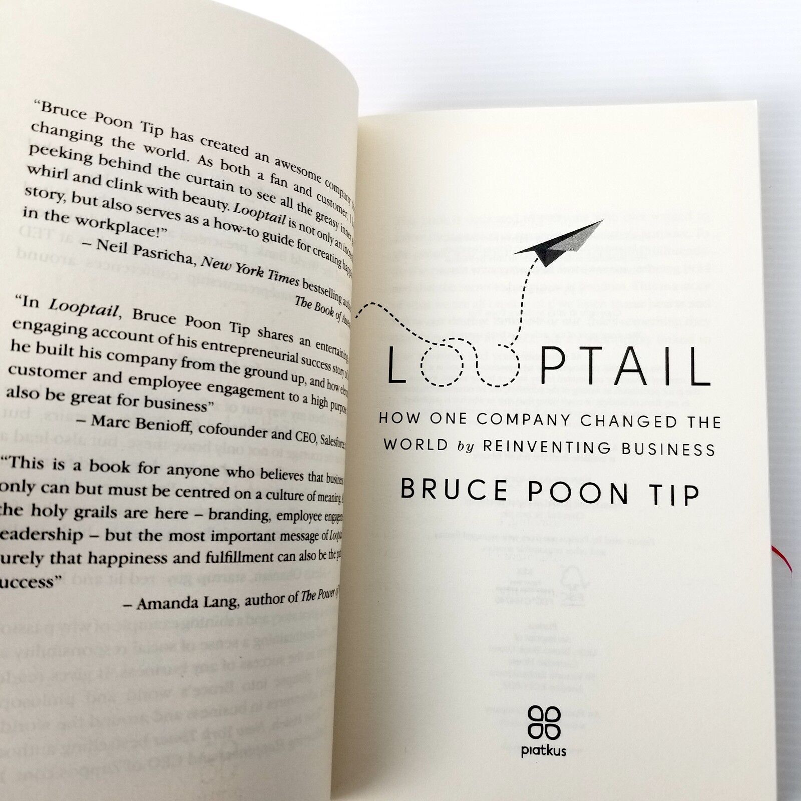 Looptail: How One Company Changed the World by Reinventing Business Bruce P. Tip