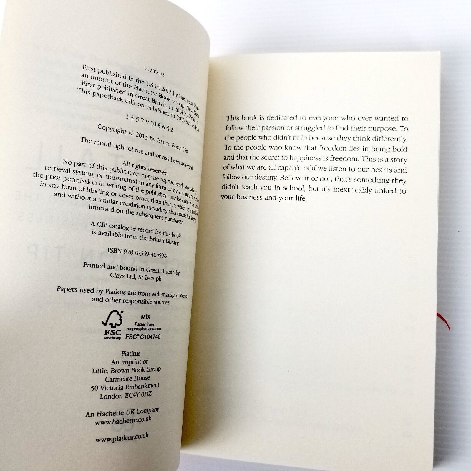 Looptail: How One Company Changed the World by Reinventing Business Bruce P. Tip
