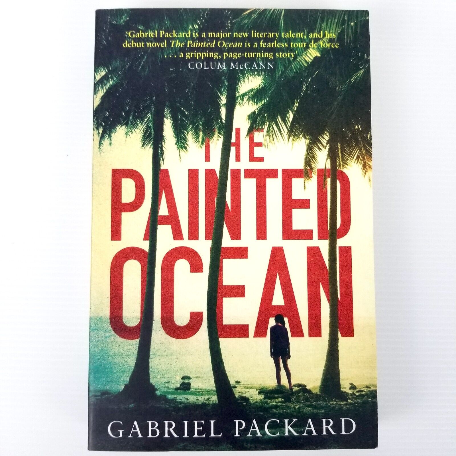 The Painted Ocean by Gabriel Packard (Paperback, 2016) Fiction Novel Book