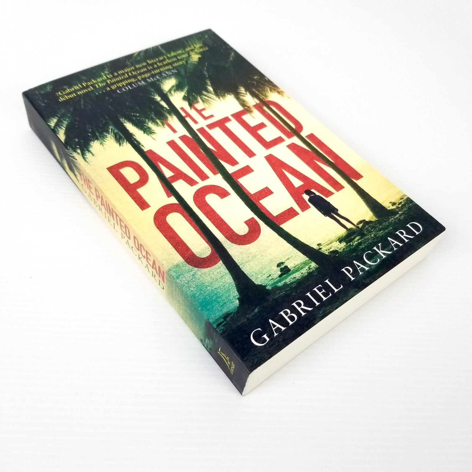 The Painted Ocean by Gabriel Packard (Paperback, 2016) Fiction Novel Book