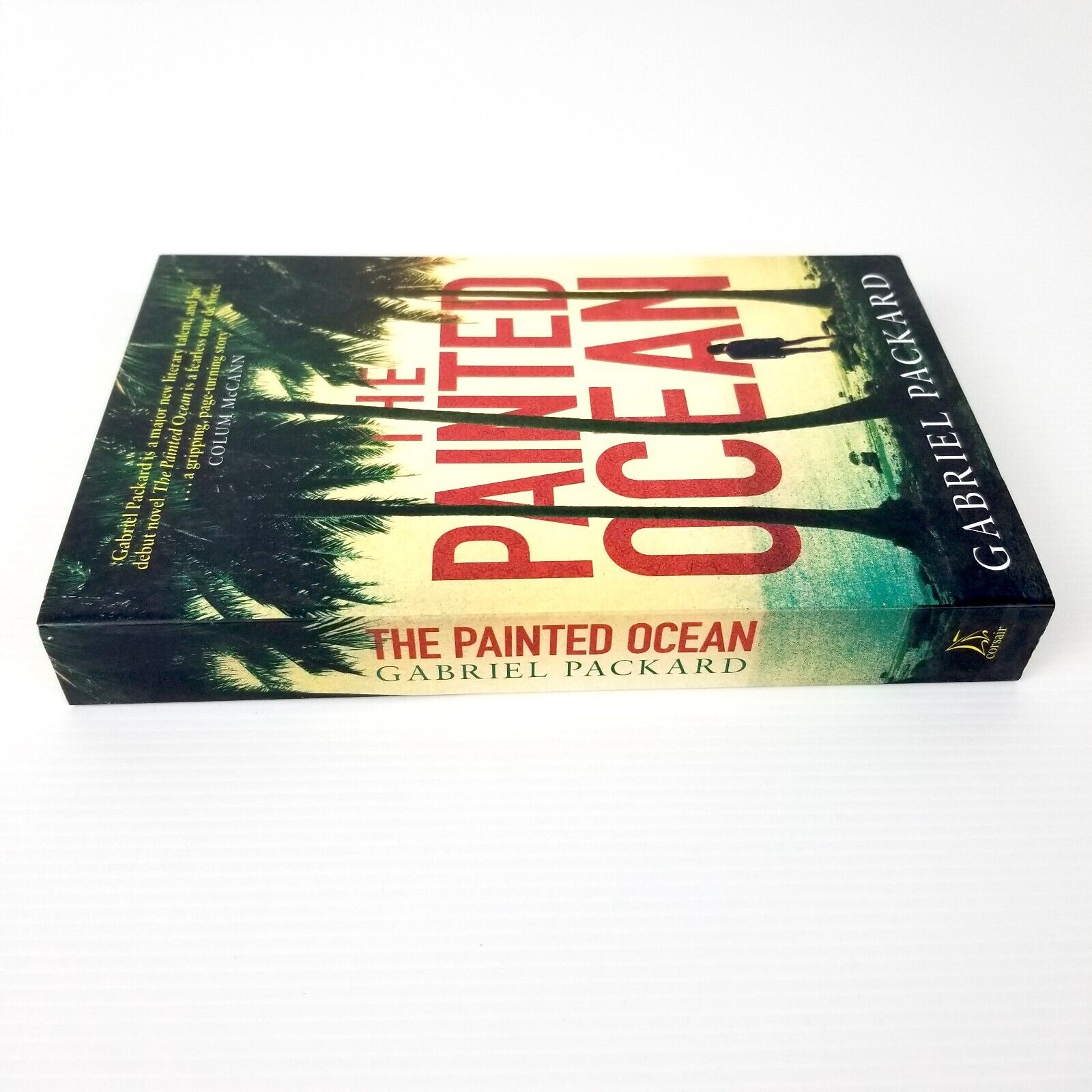 The Painted Ocean by Gabriel Packard (Paperback, 2016) Fiction Novel Book