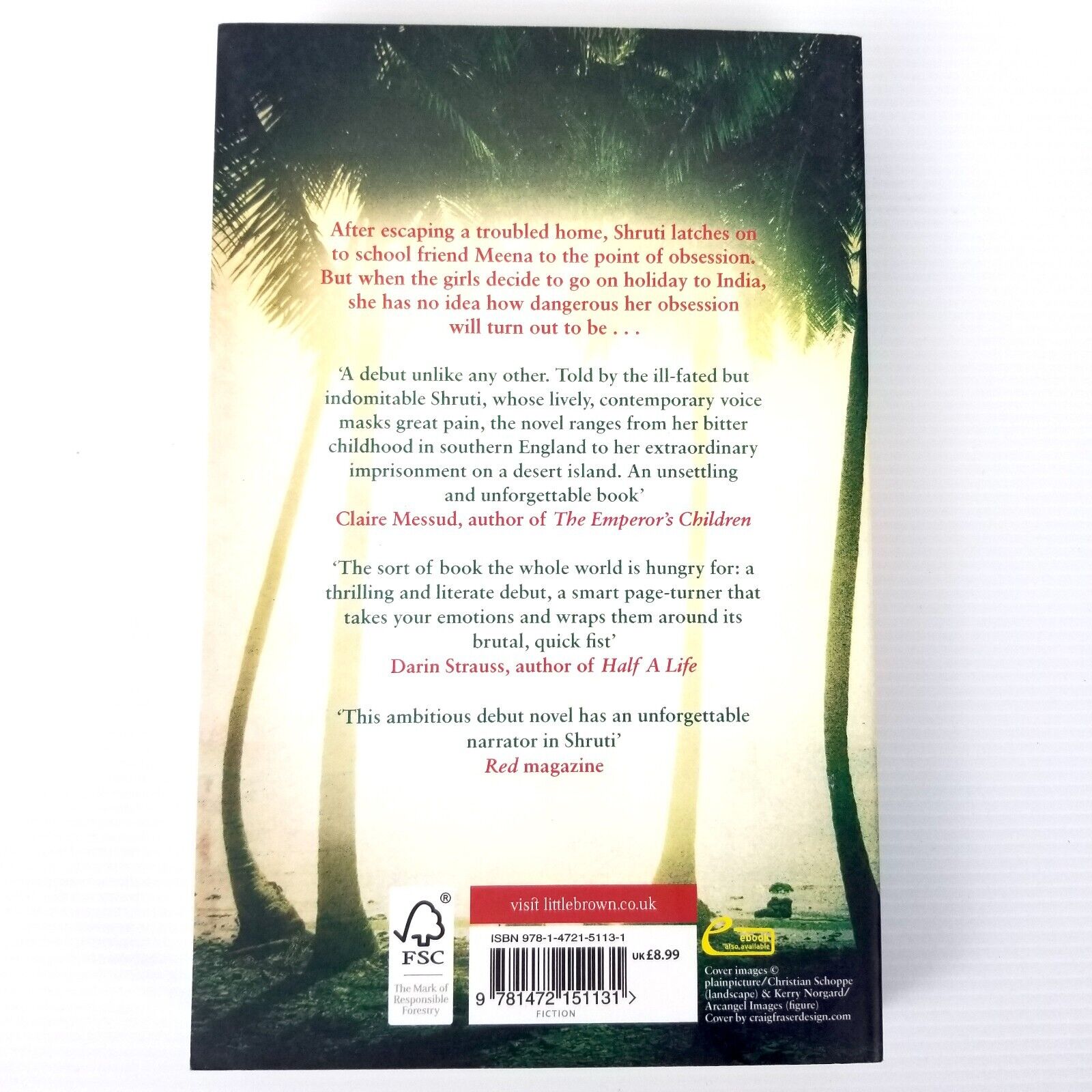 The Painted Ocean by Gabriel Packard (Paperback, 2016) Fiction Novel Book