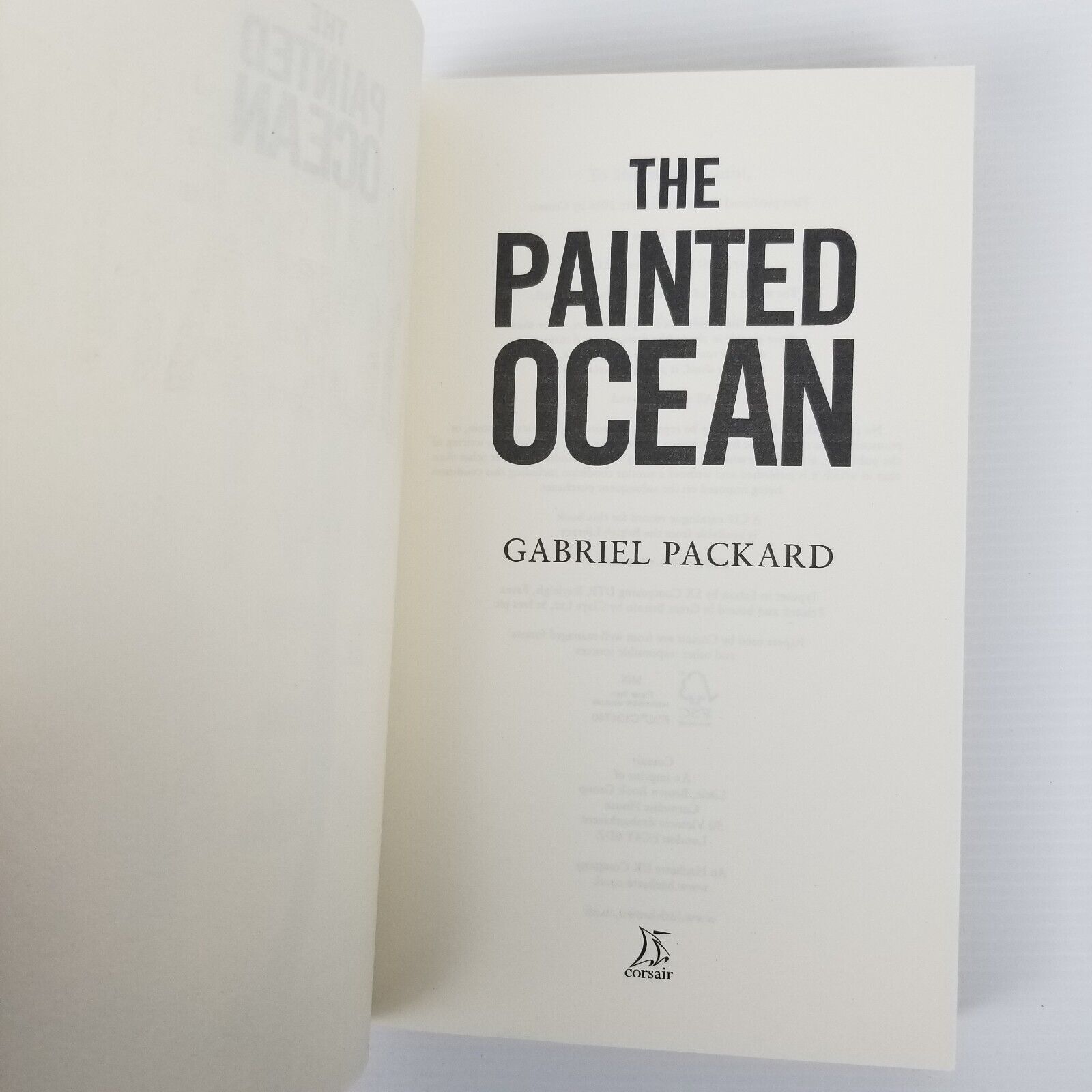 The Painted Ocean by Gabriel Packard (Paperback, 2016) Fiction Novel Book