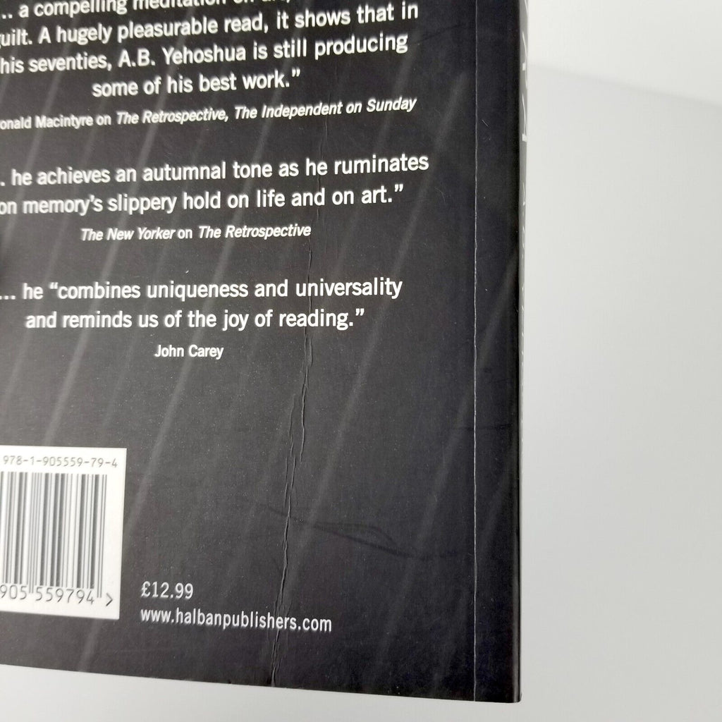 The Extra by A. B. Yehoshua (Paperback, 2016)