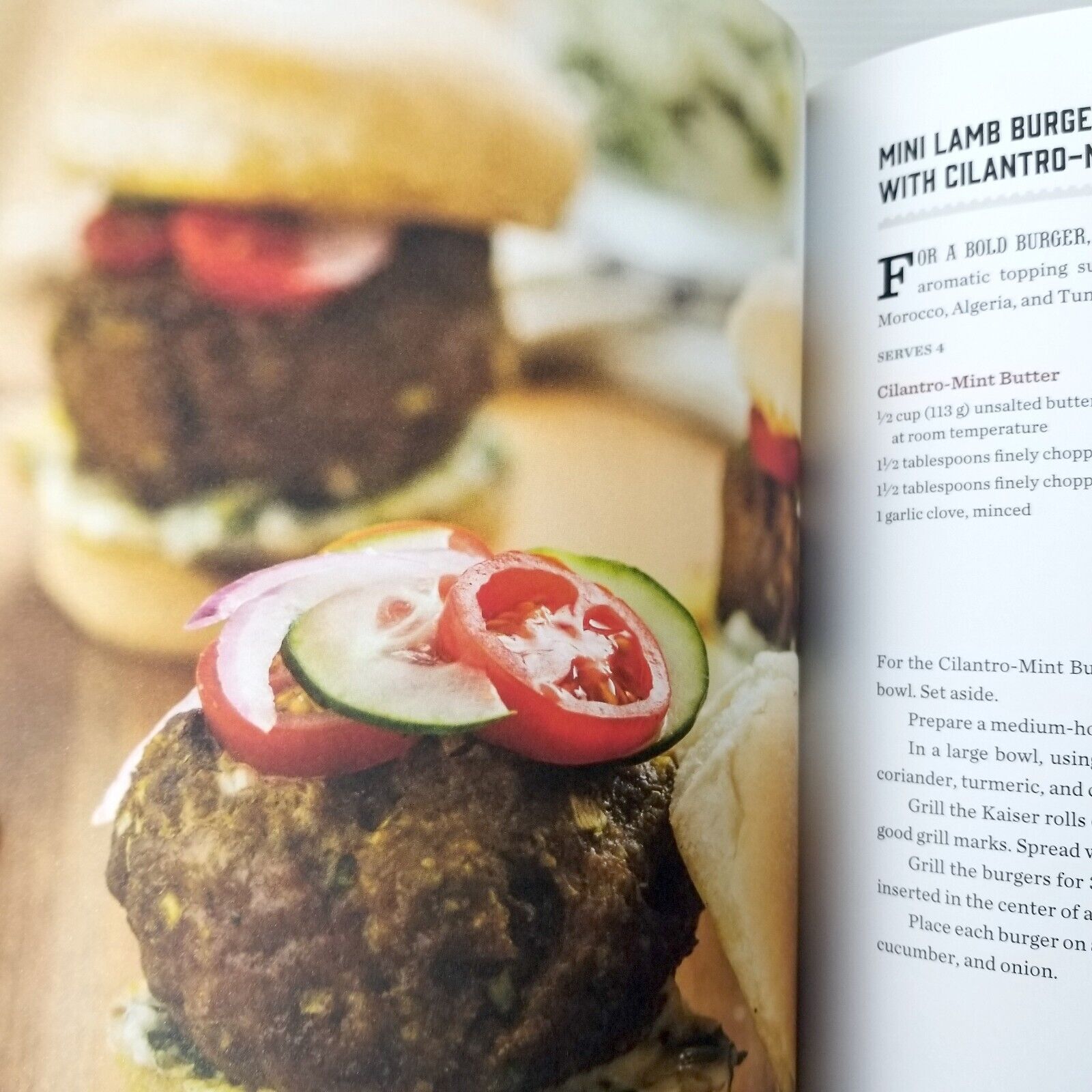 BBQ Bistro: Simple, Sophisticated French Recipes for Your Grill by Karen Adler