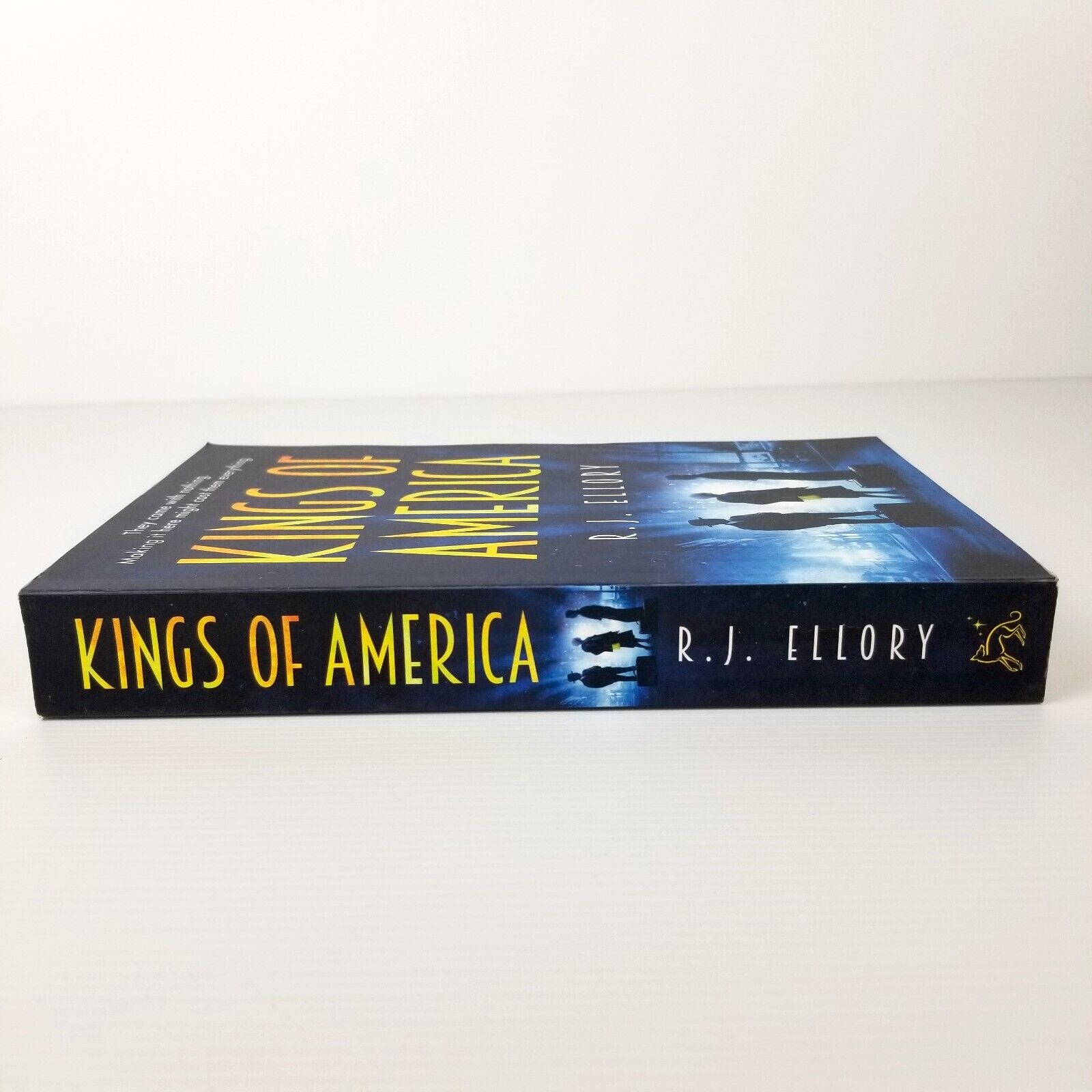 Kings of America by R.J. Ellory (Paperback, 2017) Crime & Thriller Action Book