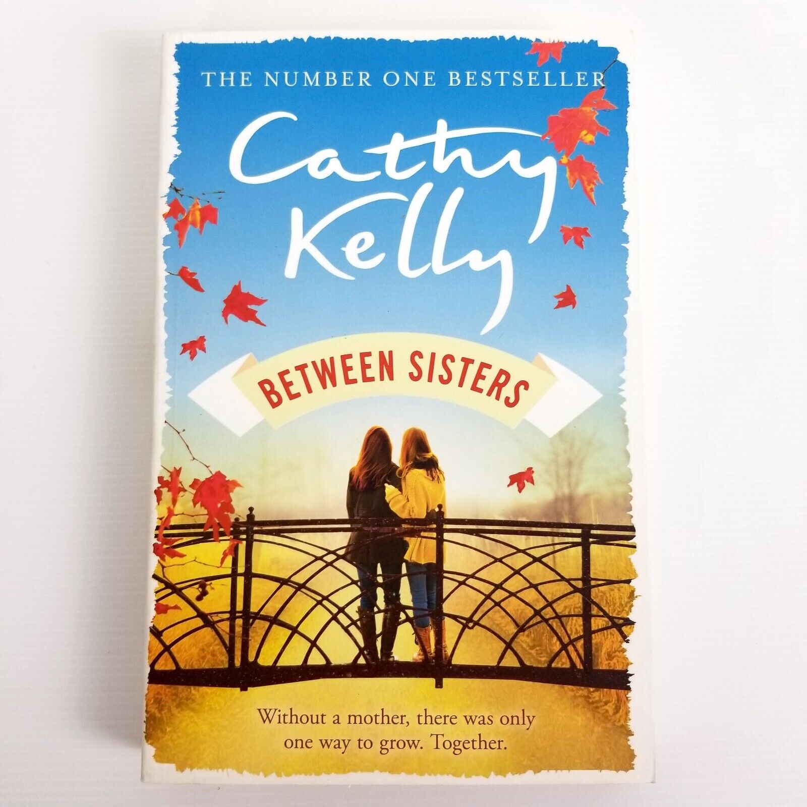 Between Sisters: A warm, wise story about family and friendship by Cathy Kelly