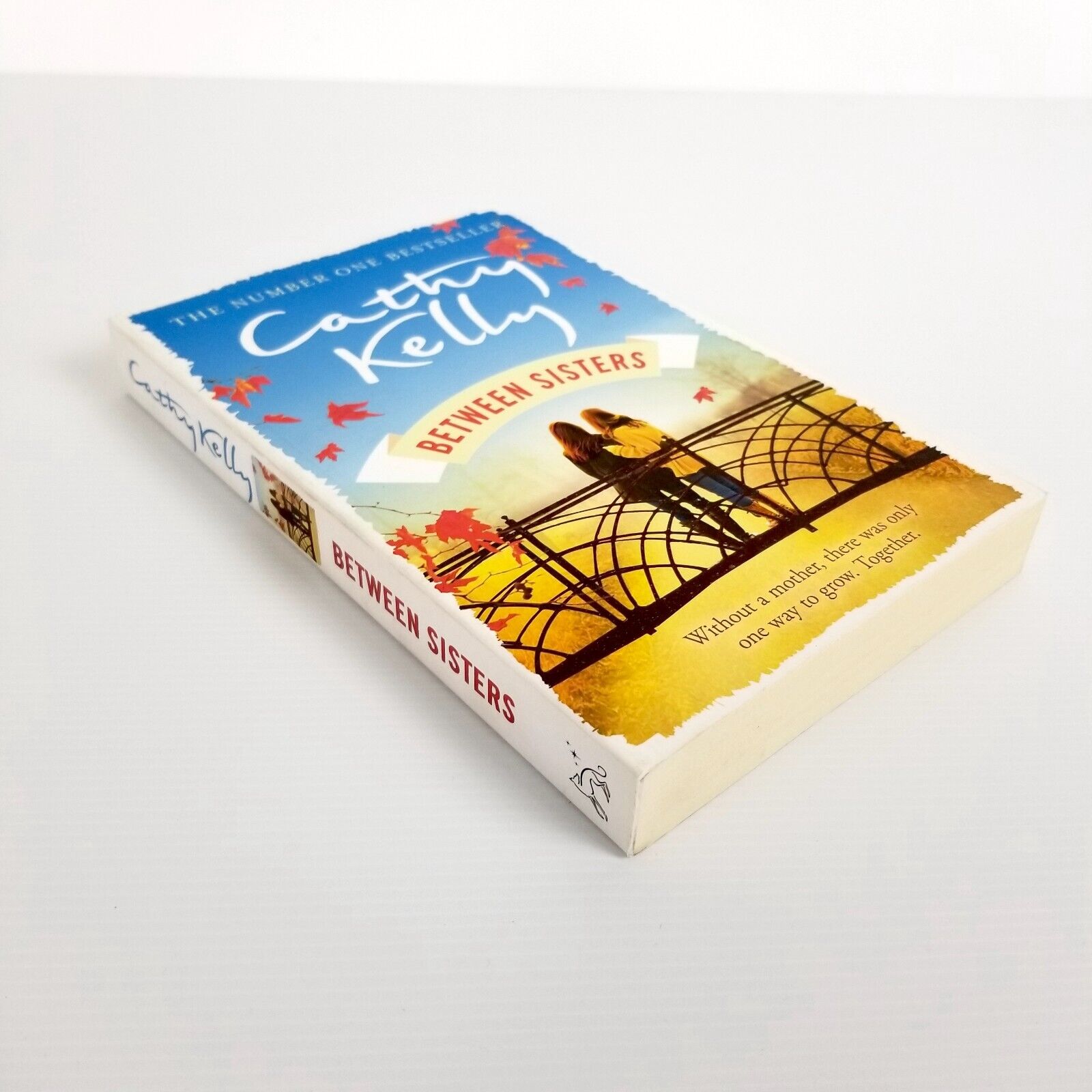 Between Sisters: A warm, wise story about family and friendship by Cathy Kelly