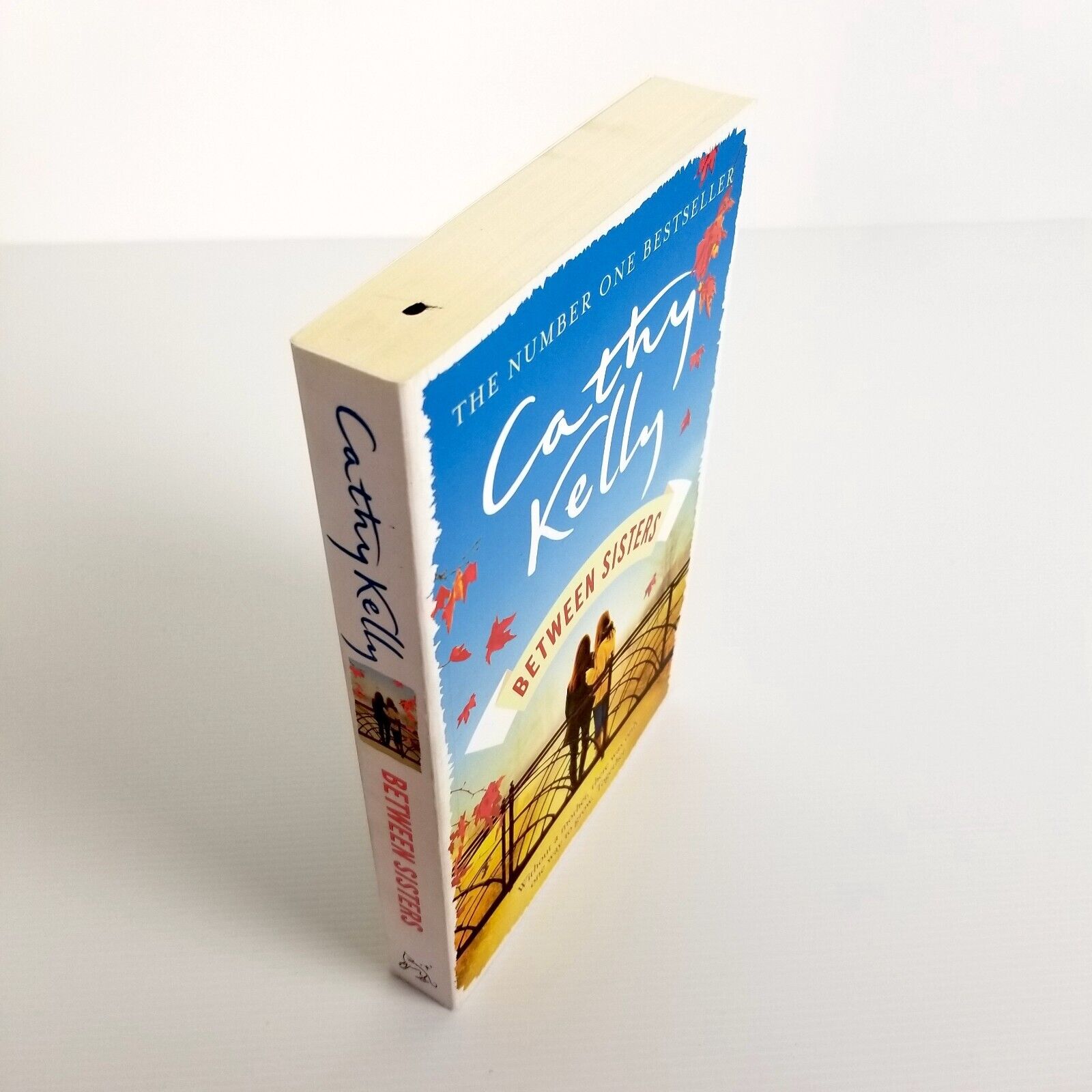 Between Sisters: A warm, wise story about family and friendship by Cathy Kelly