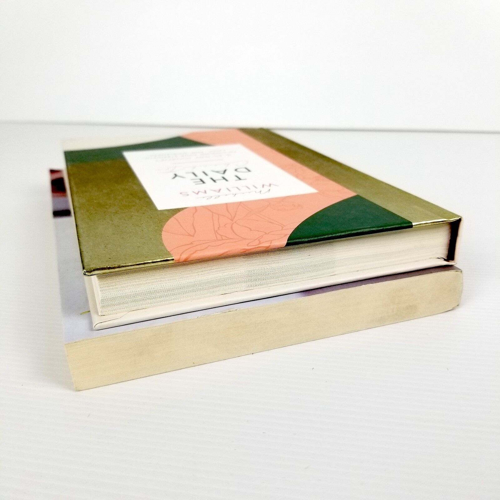 Michelle Williams Book Bundle Set: Checking In + The Daily Check-In, Self-Help