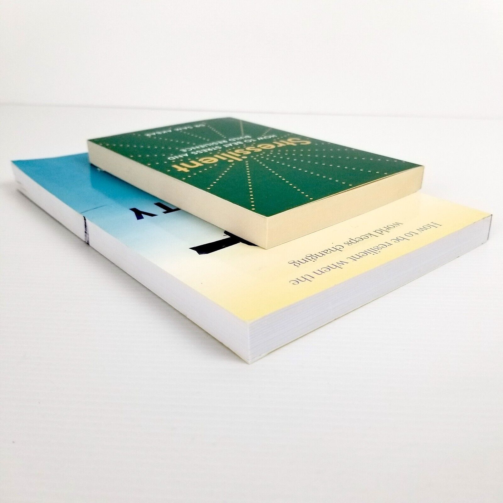 2x Self-Help Book Bundle Resilient - Stressilient & The Certainty Myth Paperback