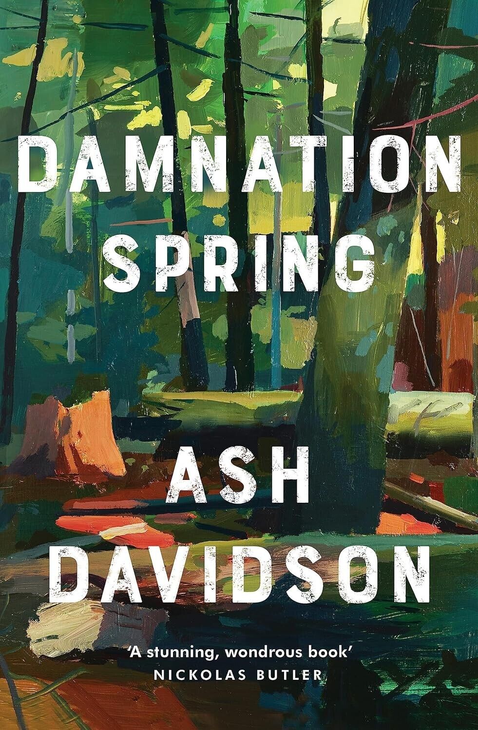 Damnation Spring by Ash Davidson (Paperback, 2021) California Drama Fiction Book